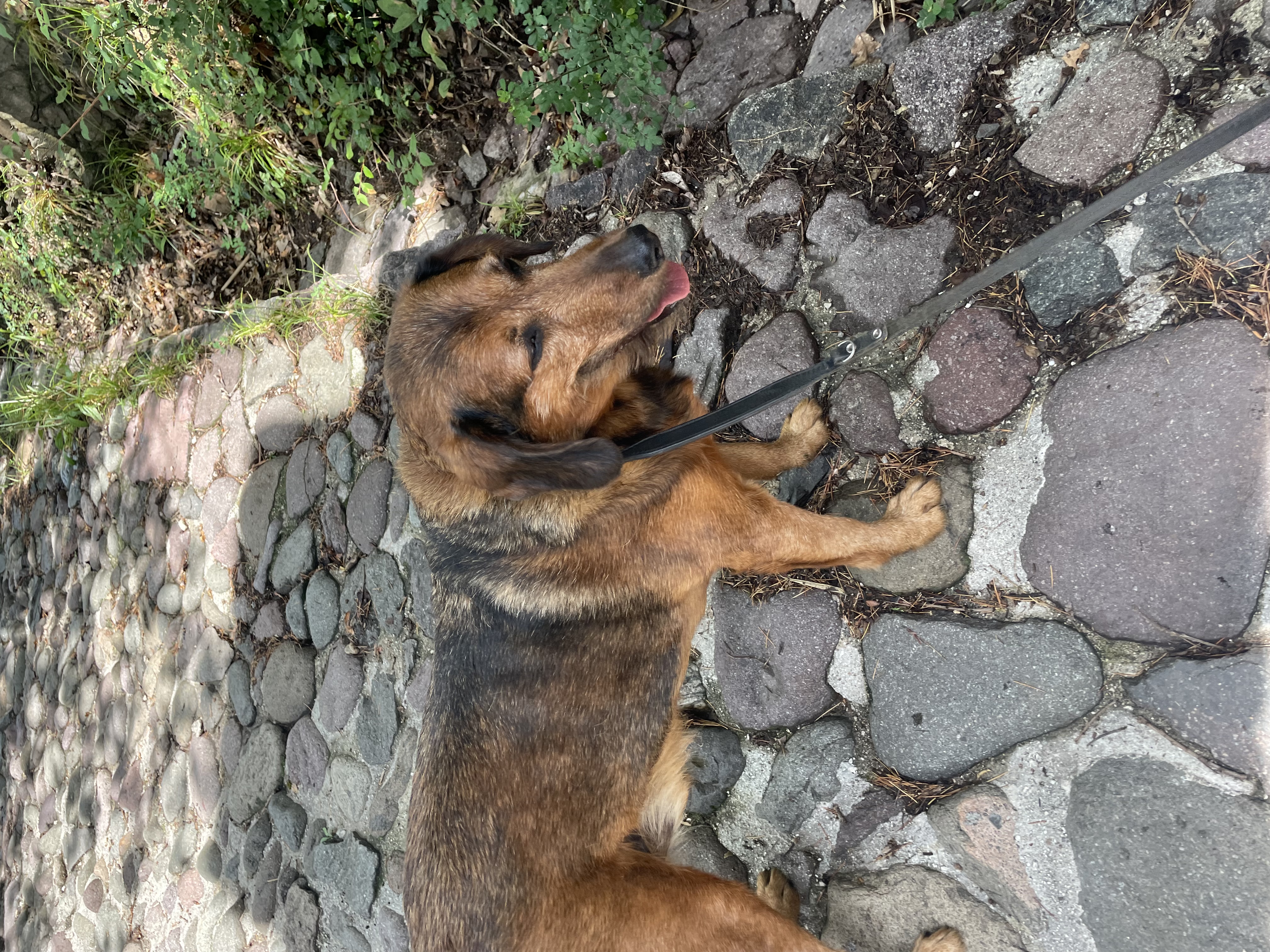image-5