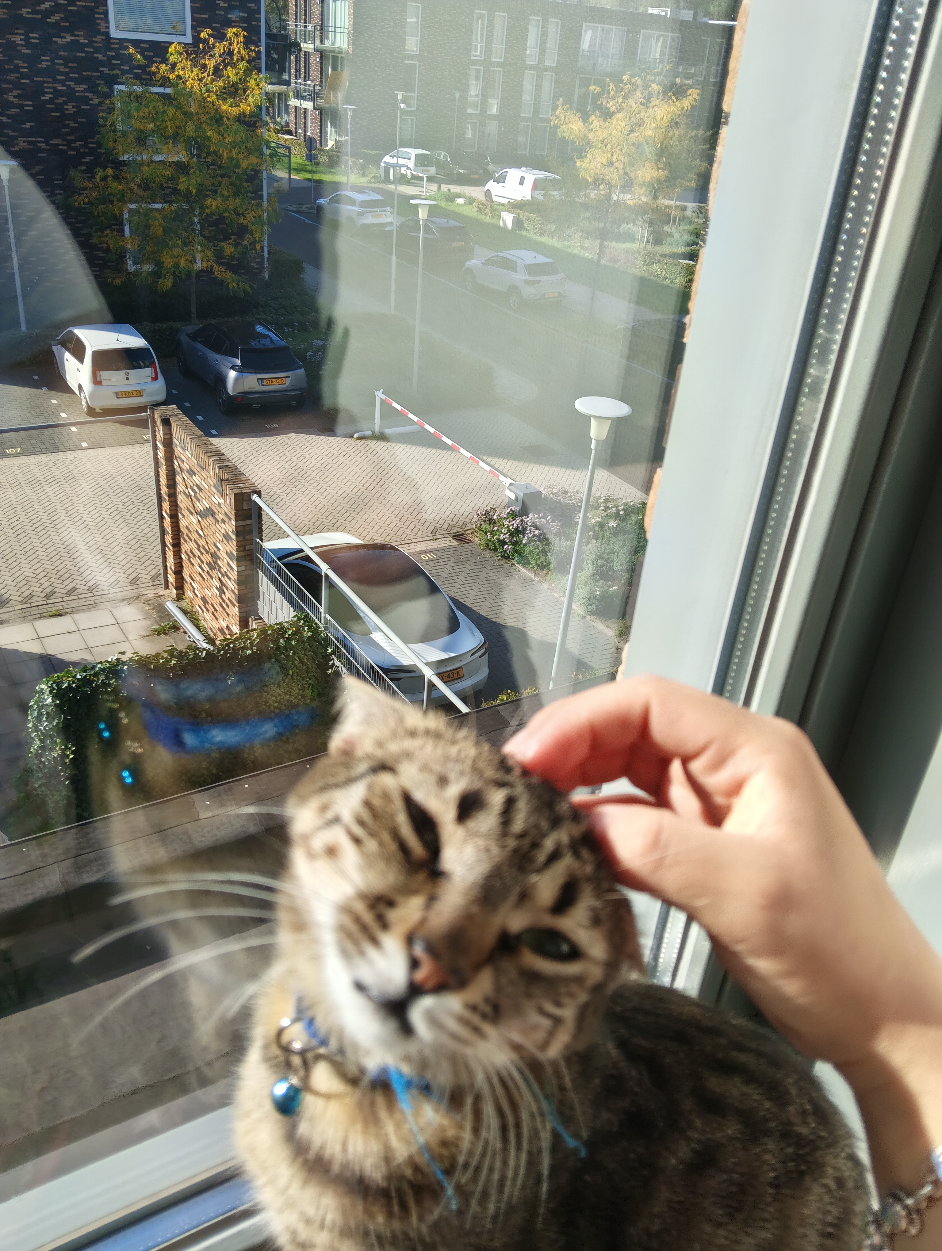 image-10