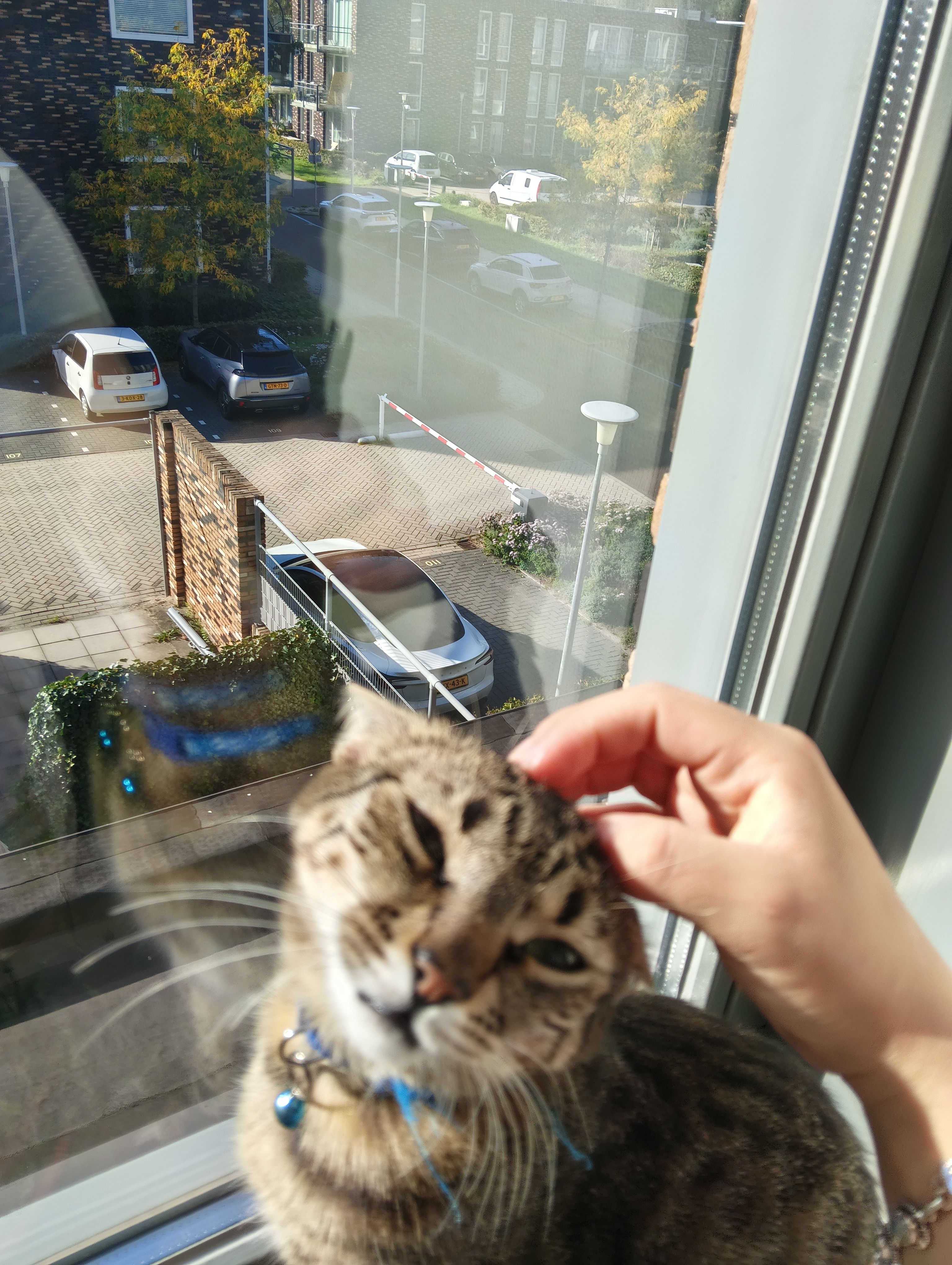 image-10