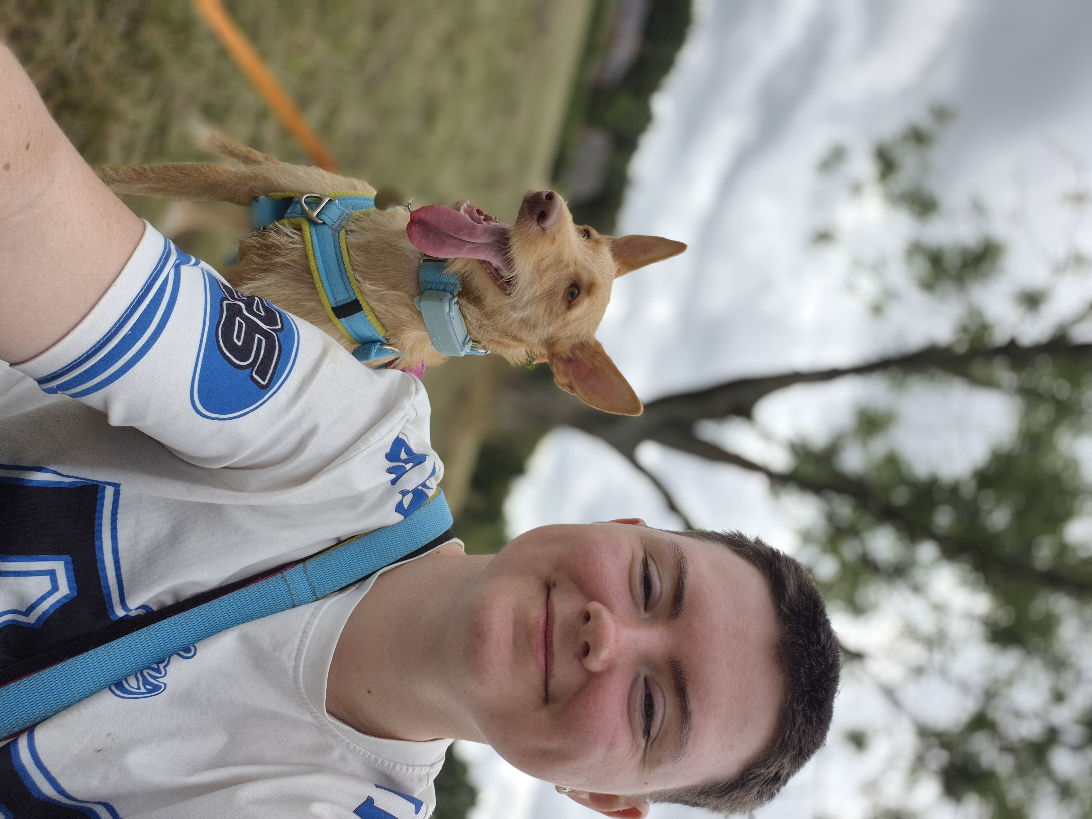 image-6