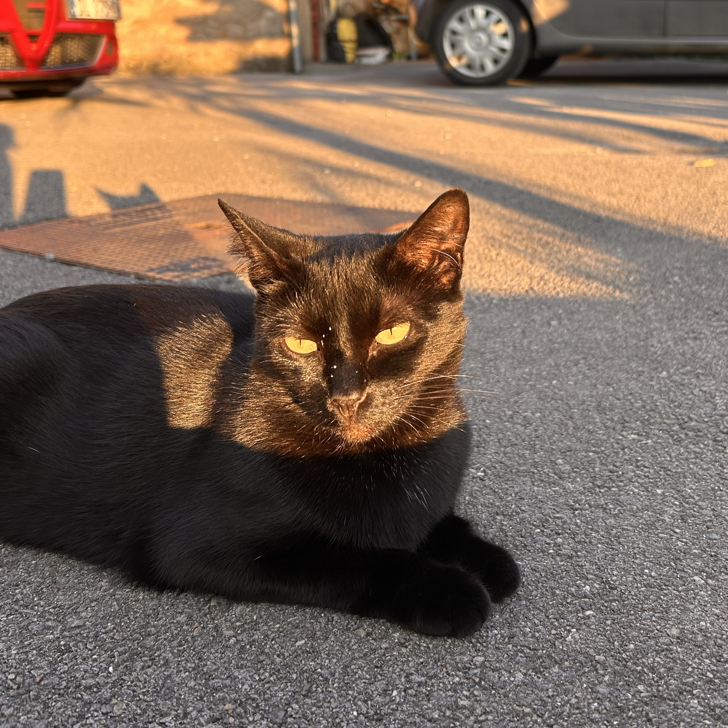 Onyx