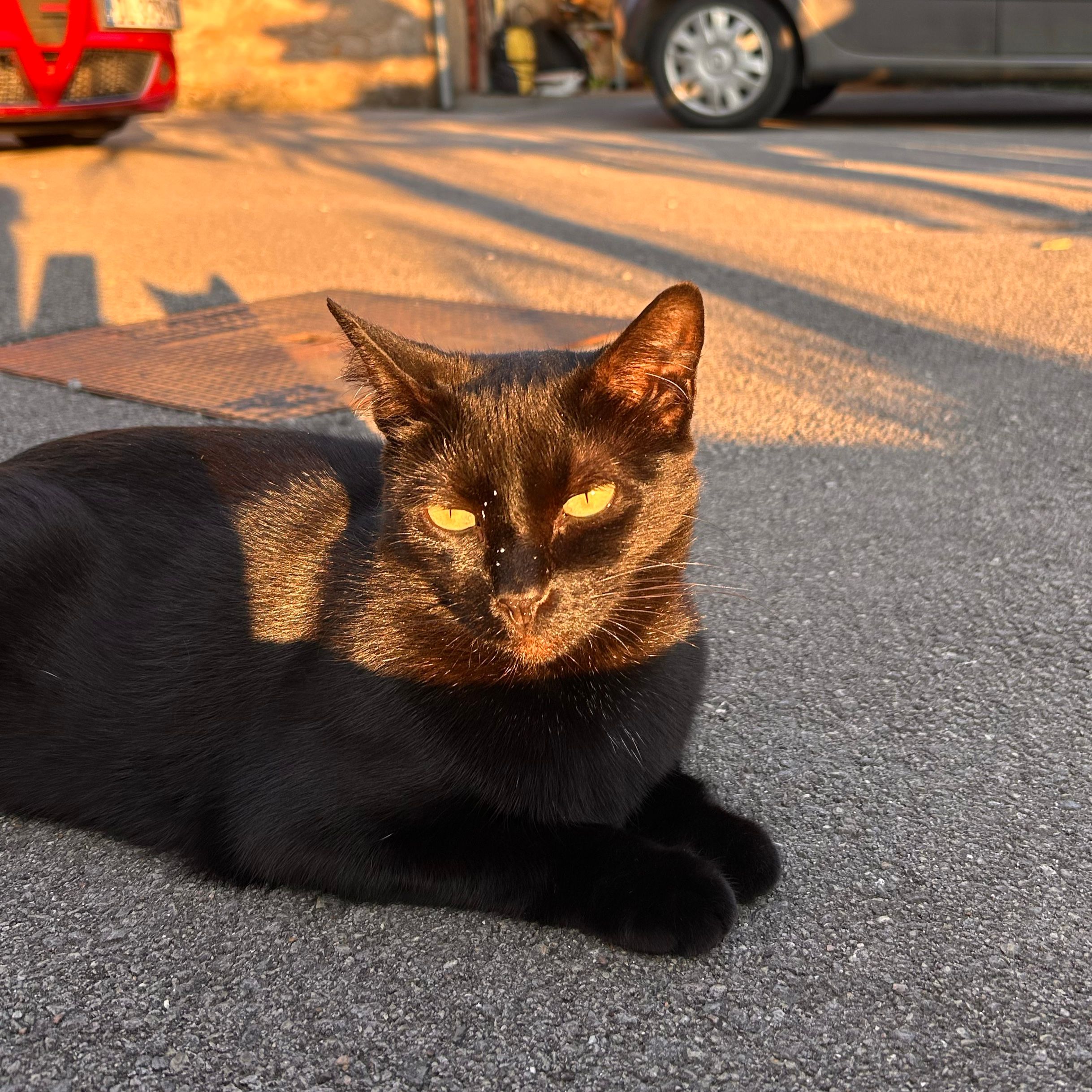 Onyx