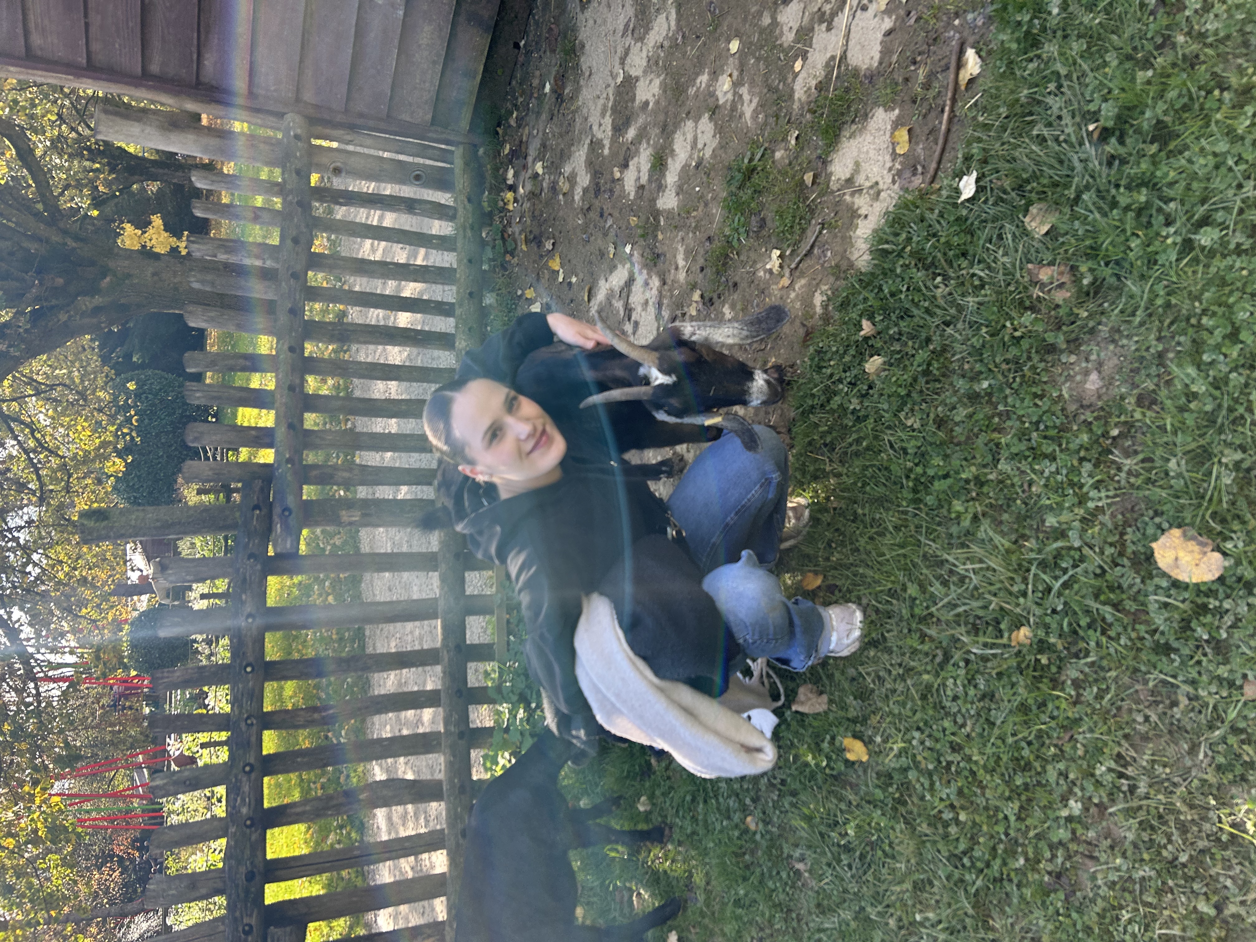image-18