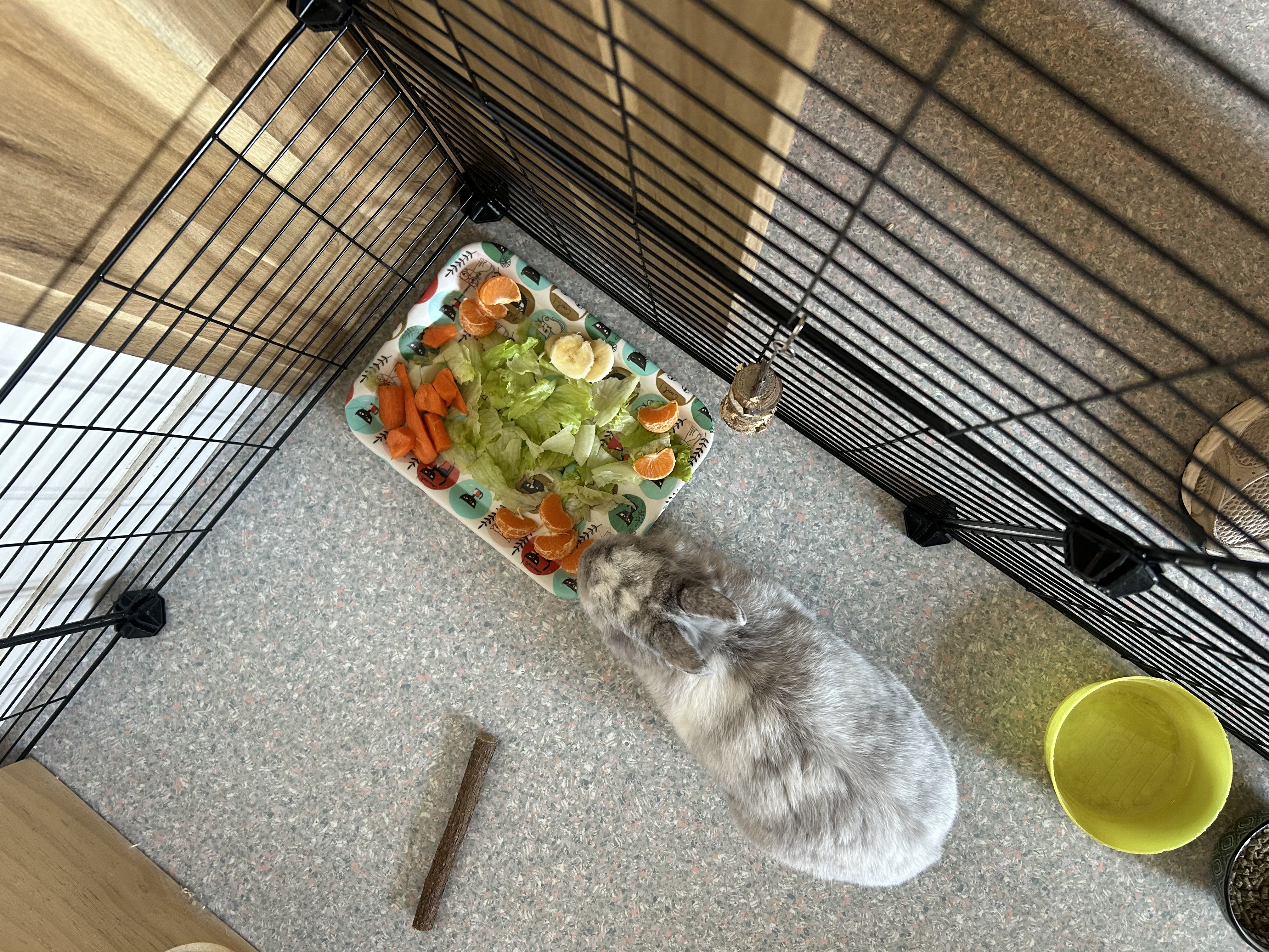 image-28