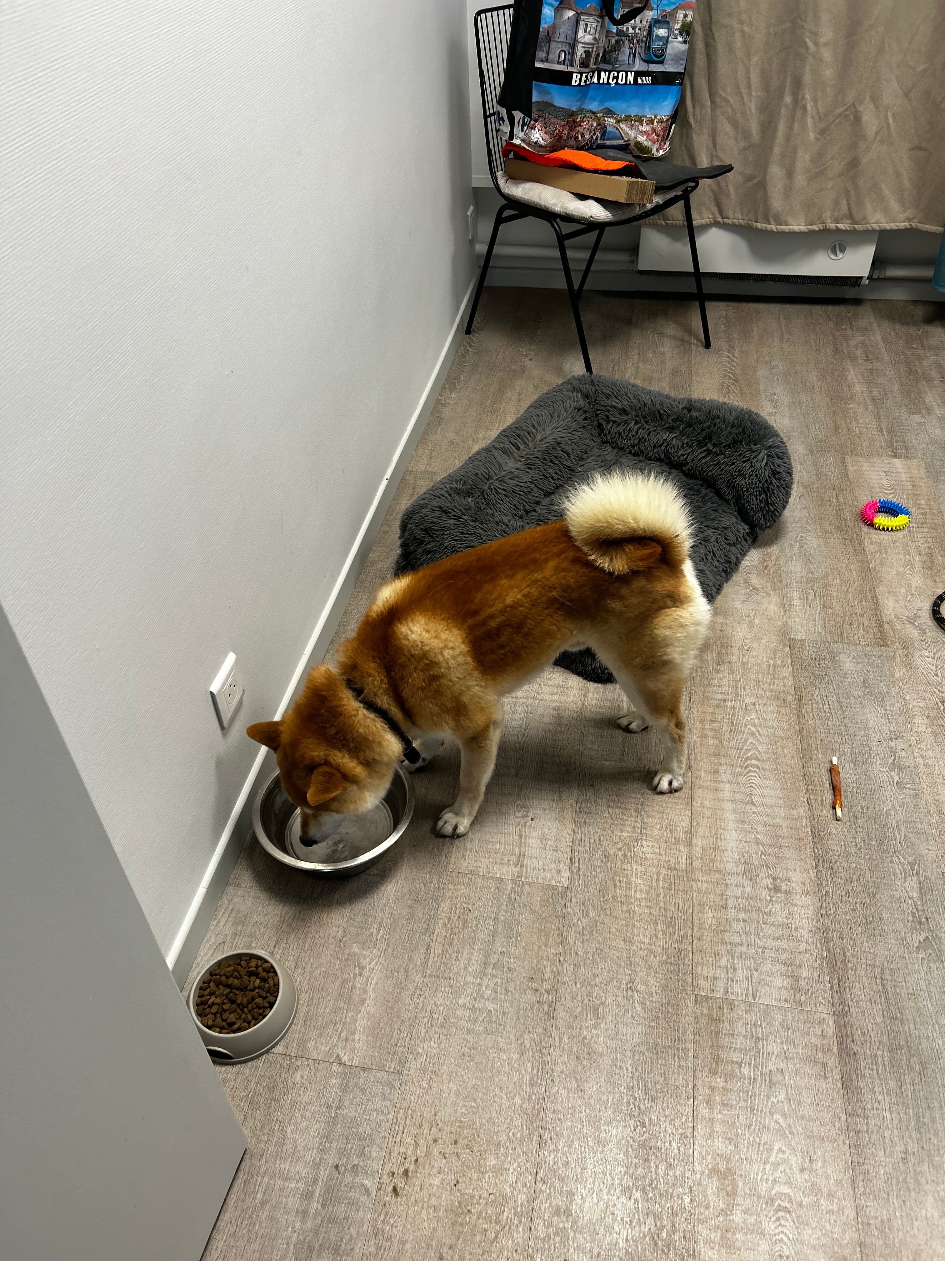image-26