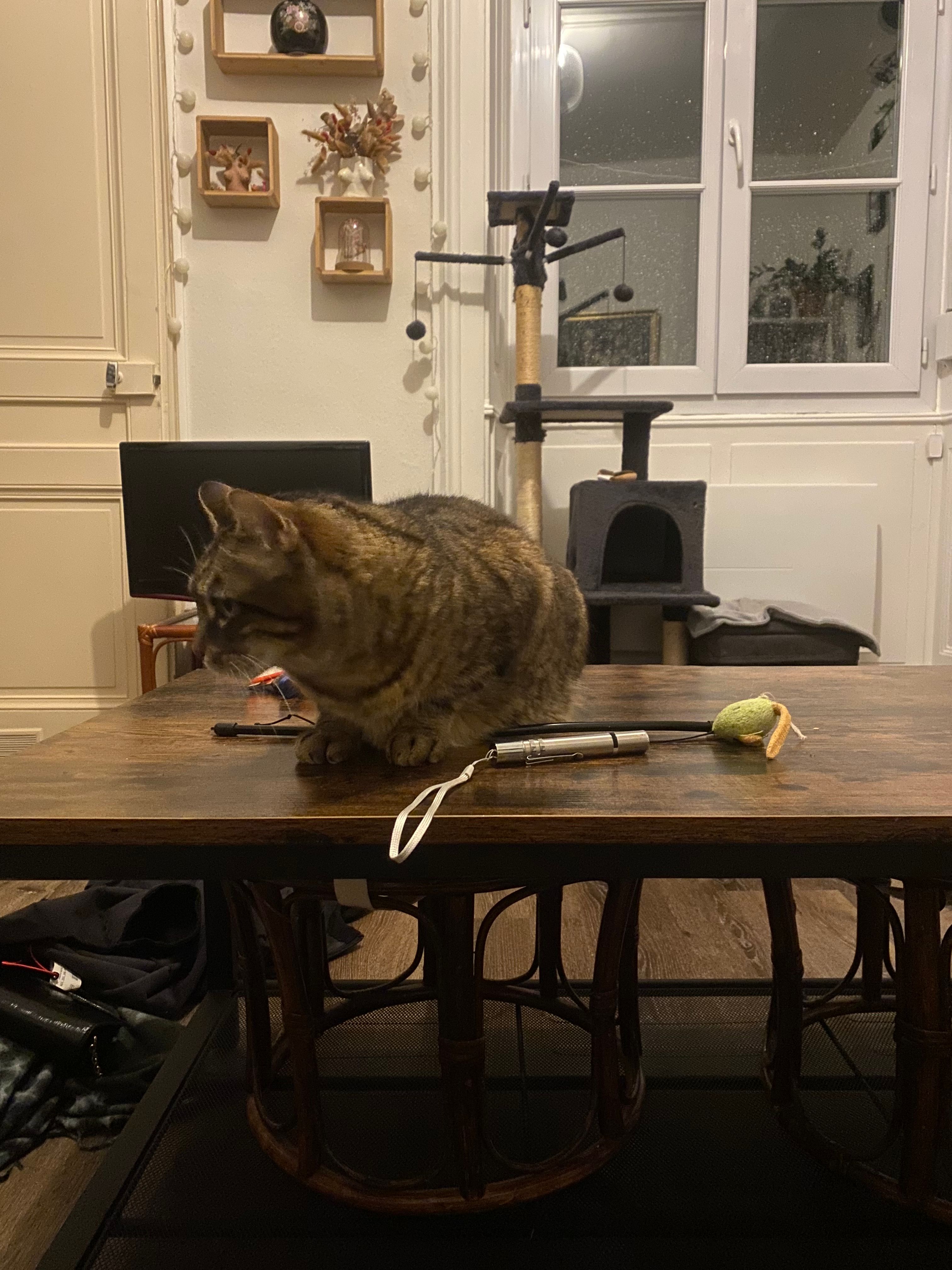 image-34