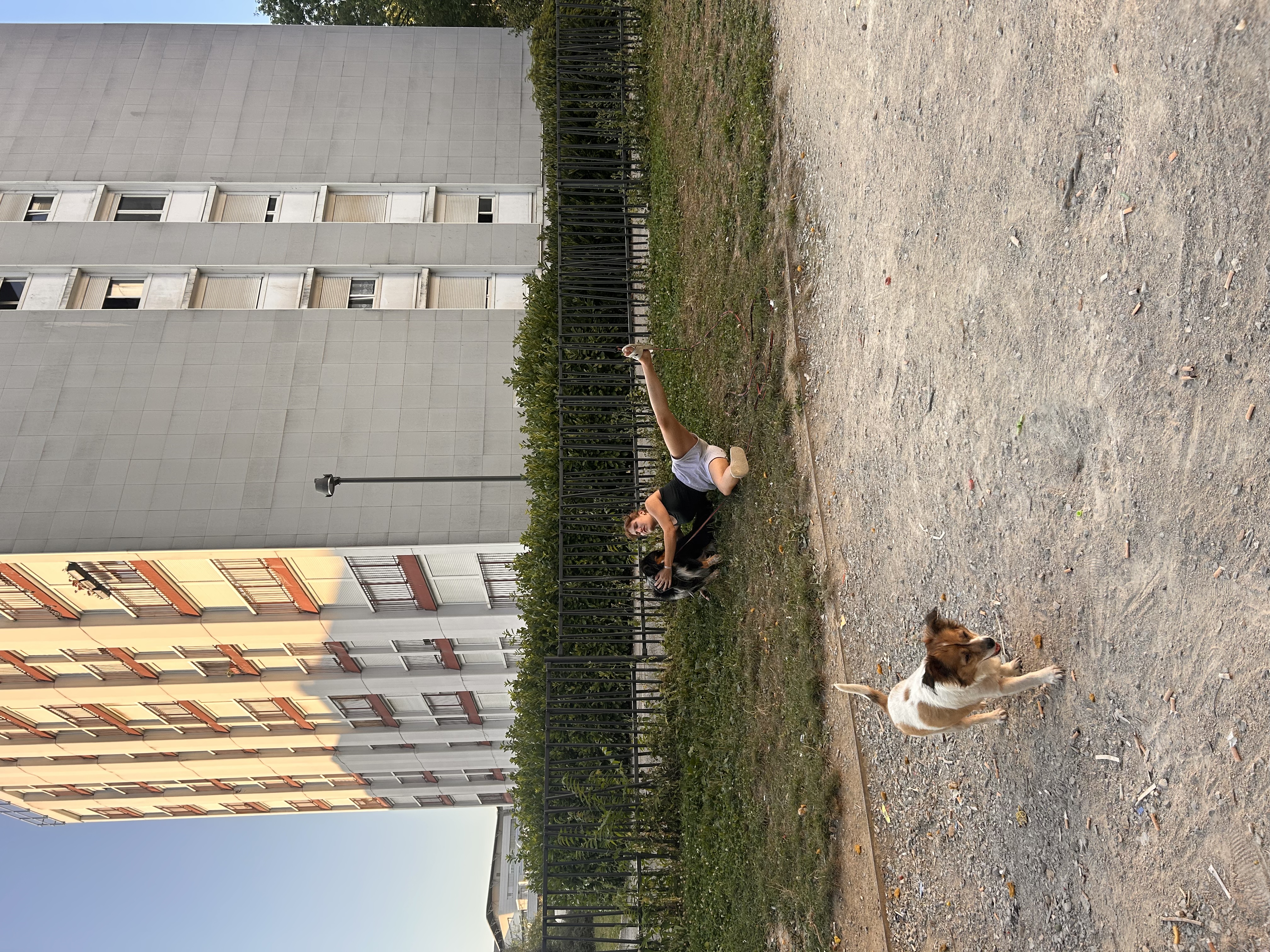 image-19
