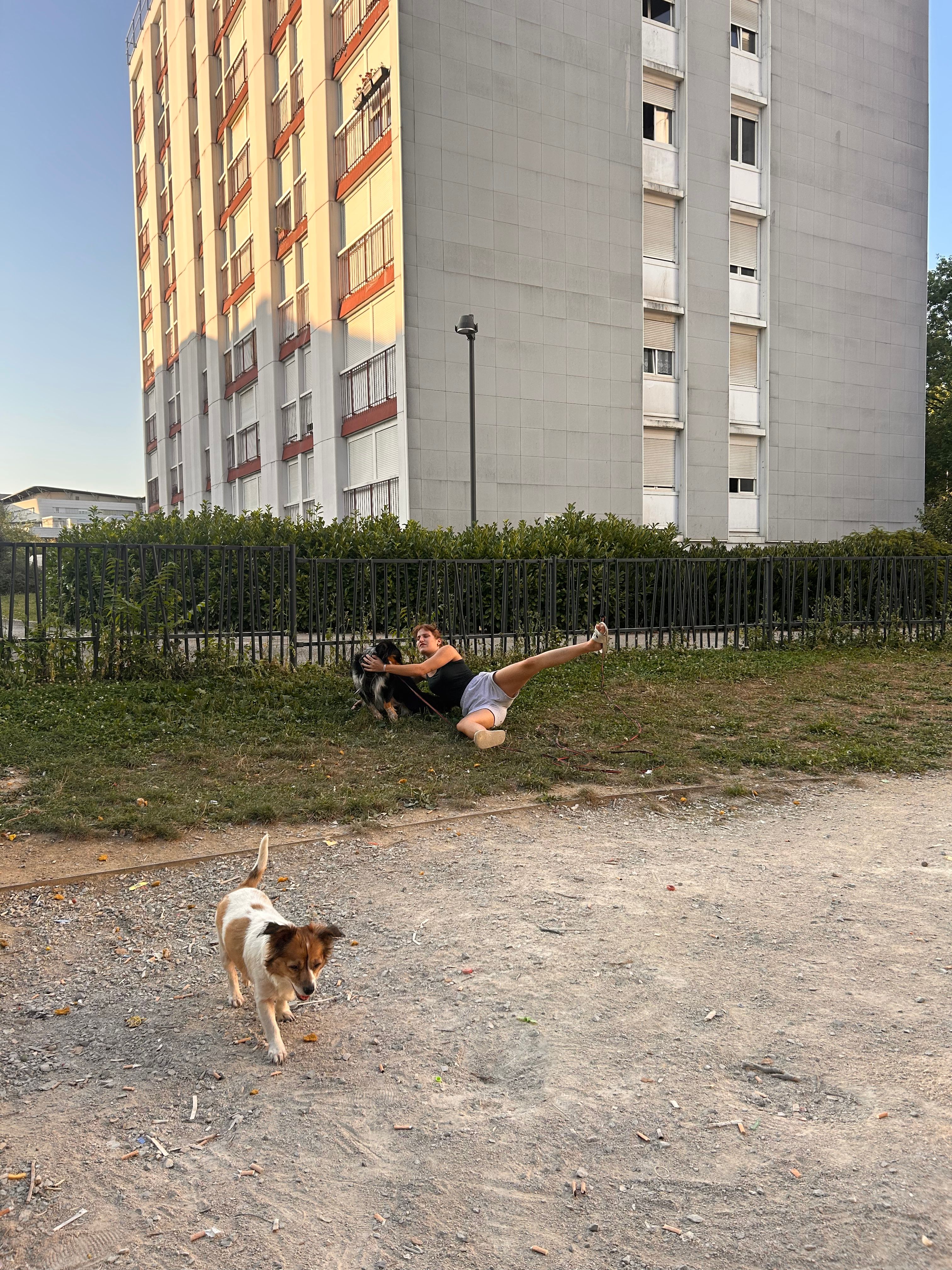 image-19