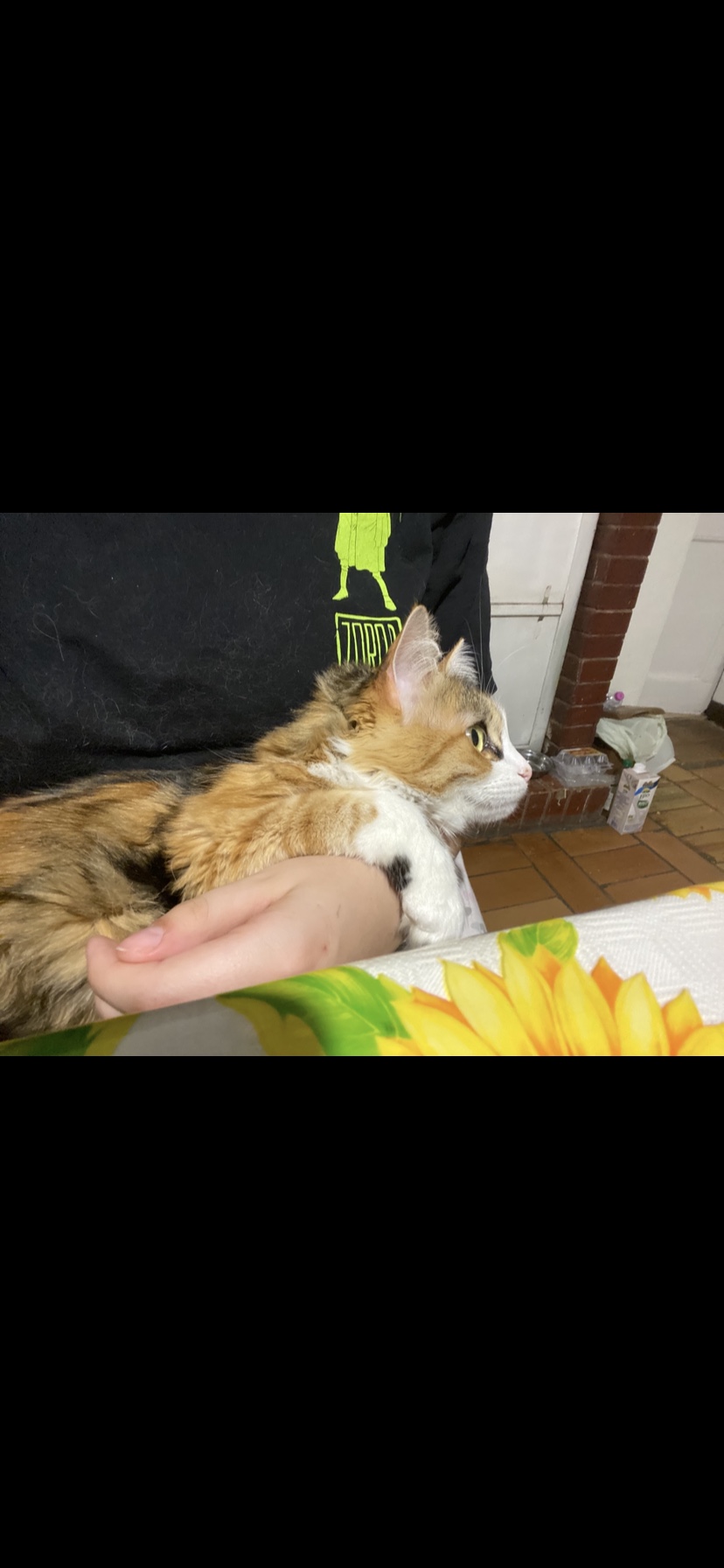 image-9