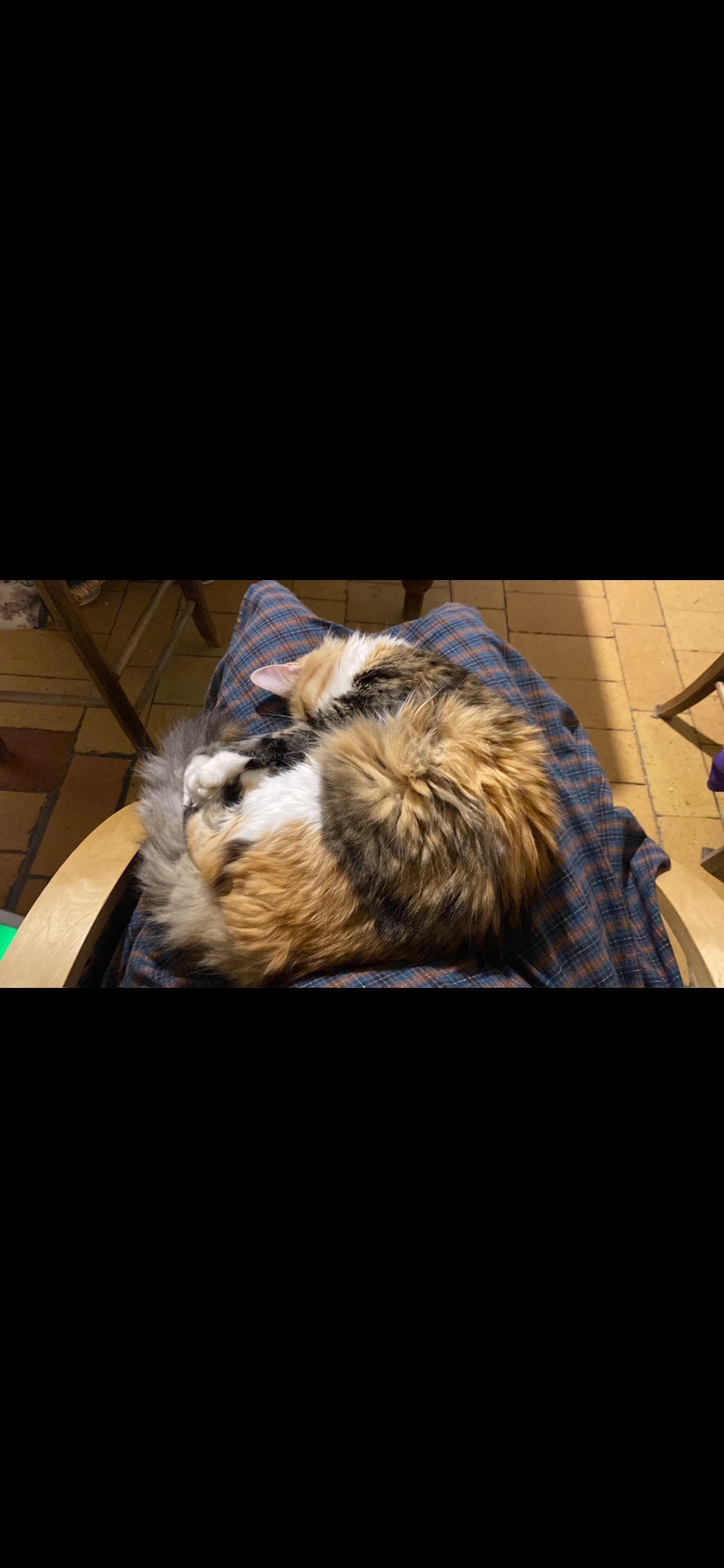 image-8