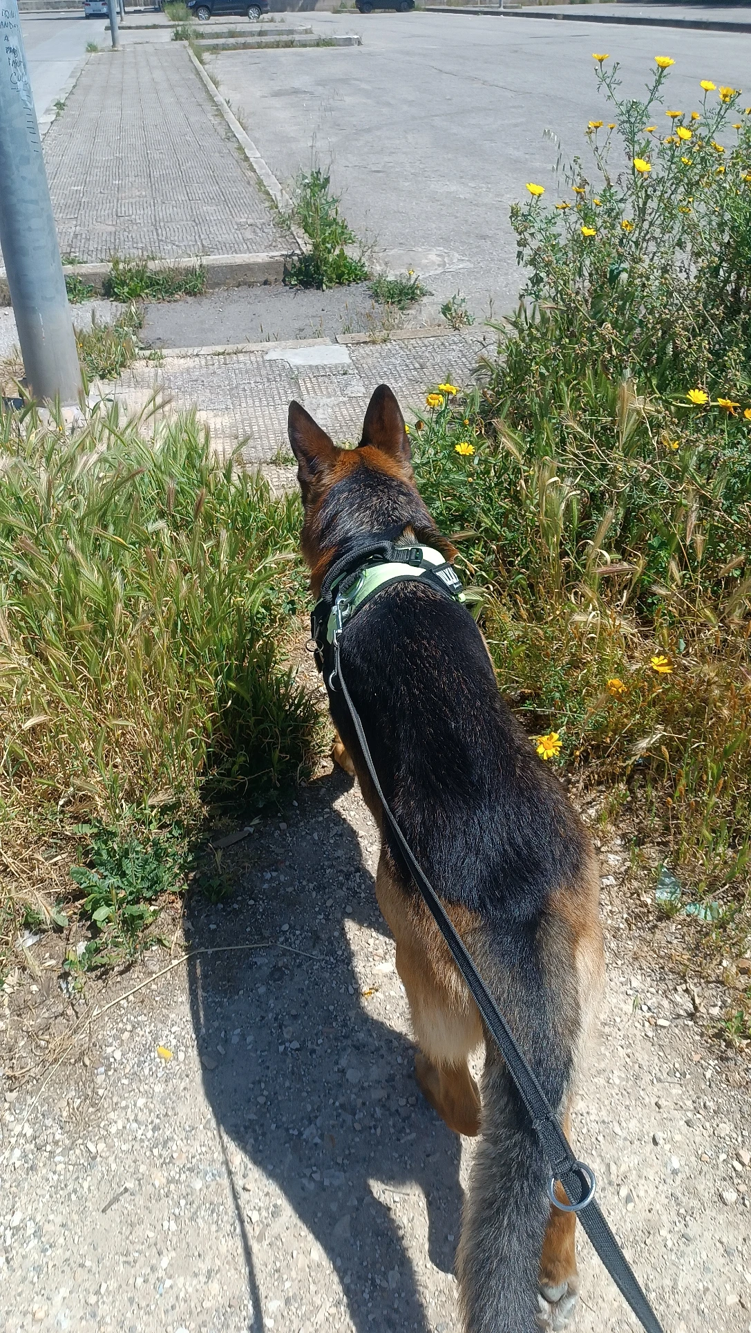 image-16
