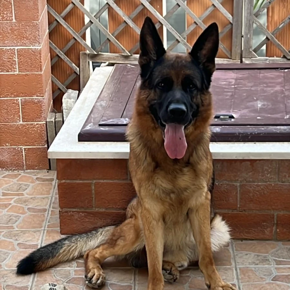 Jack