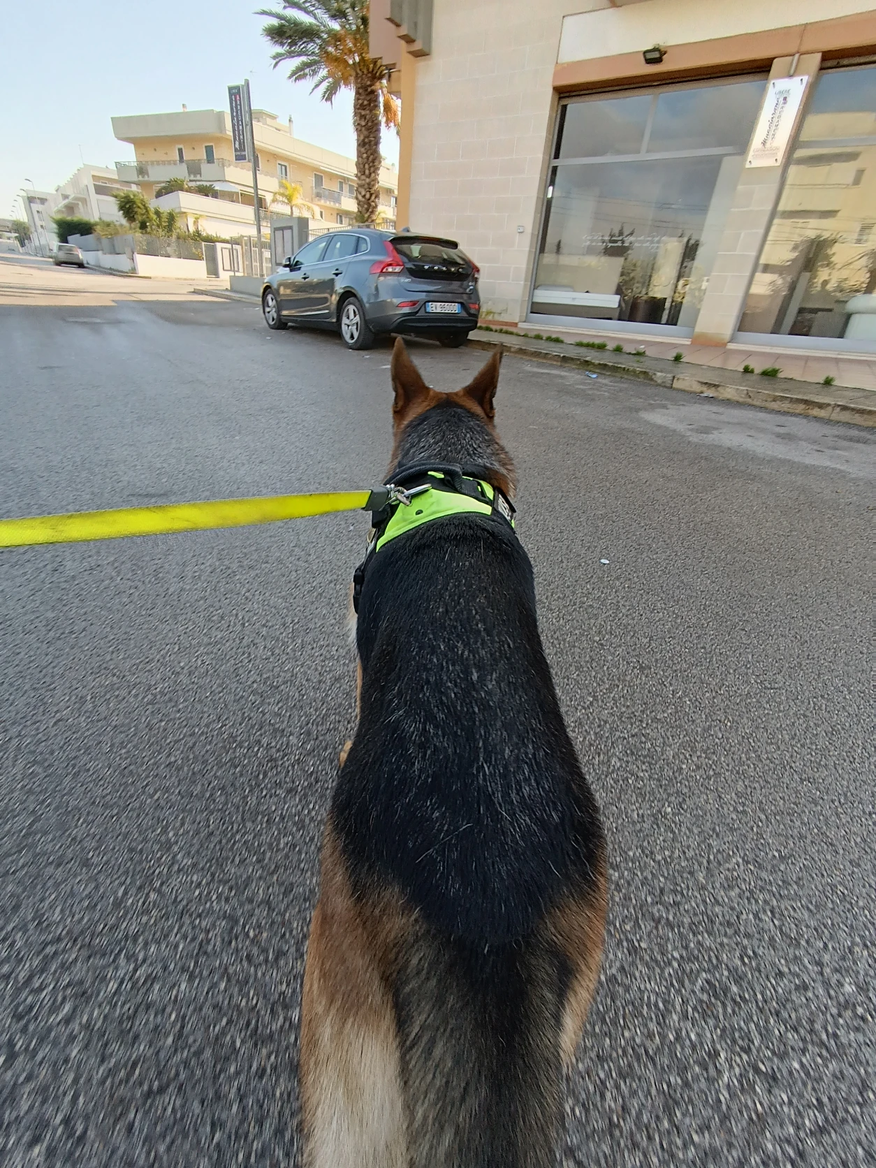 image-13