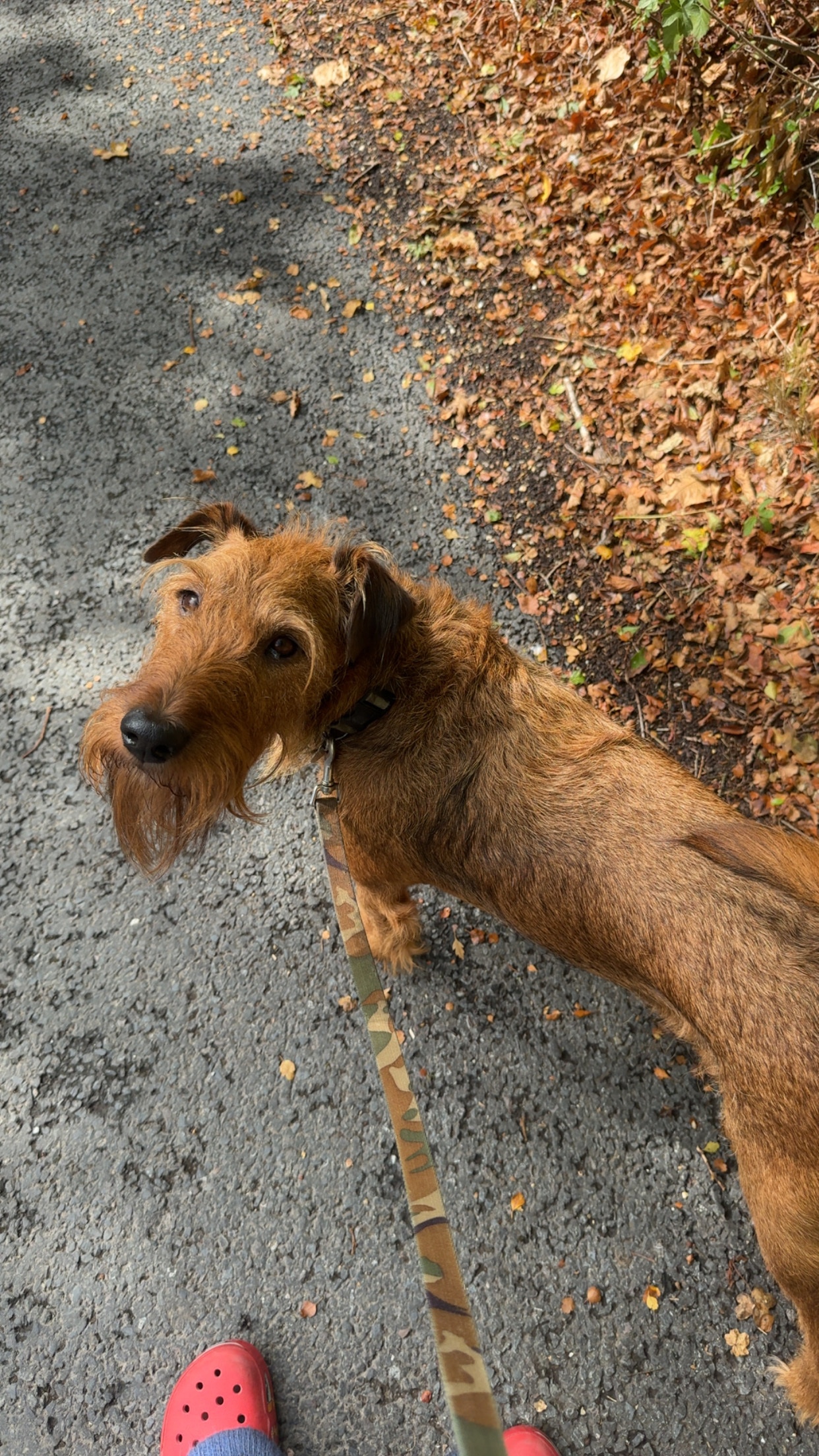 image-9
