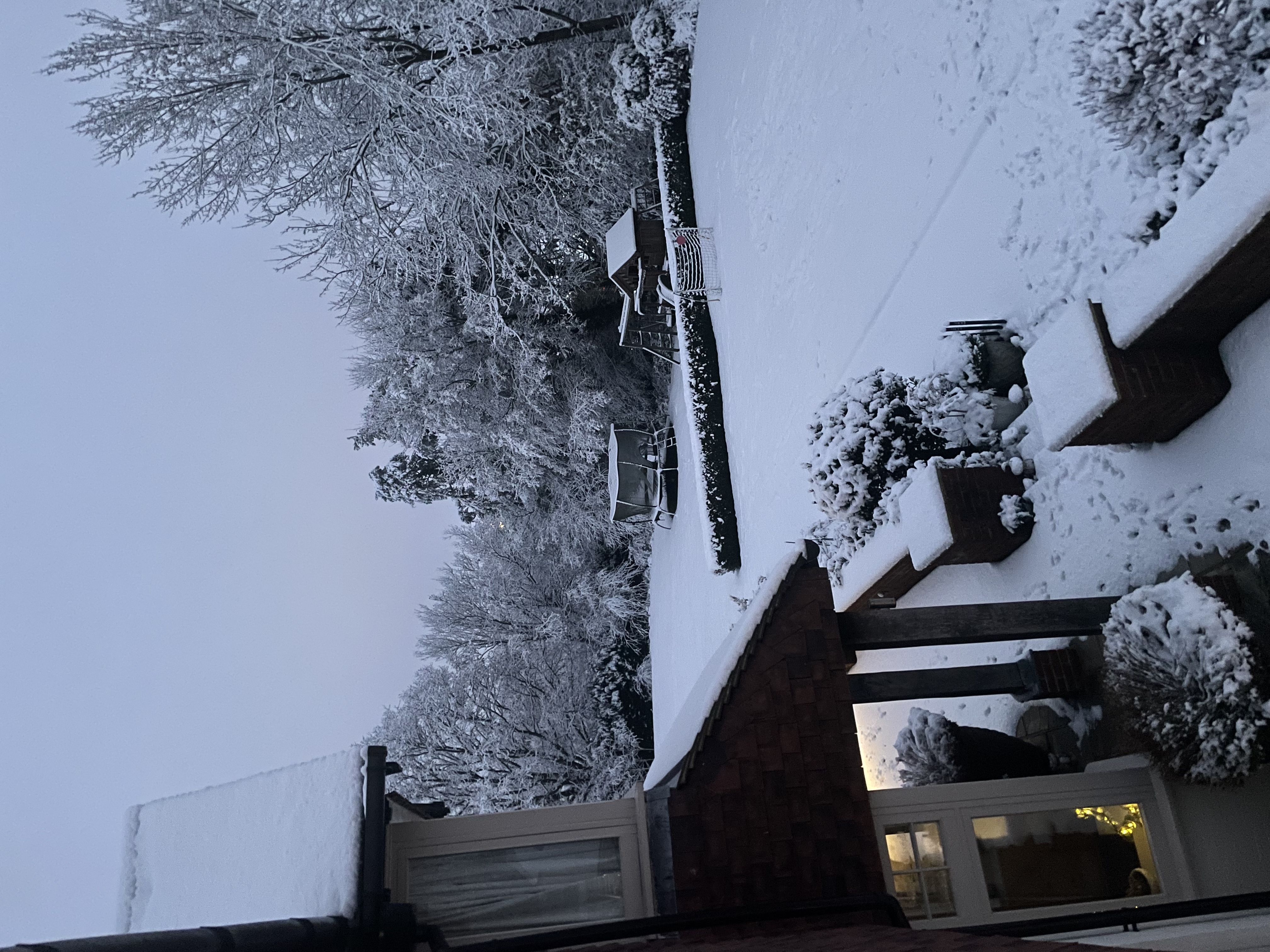 image-17