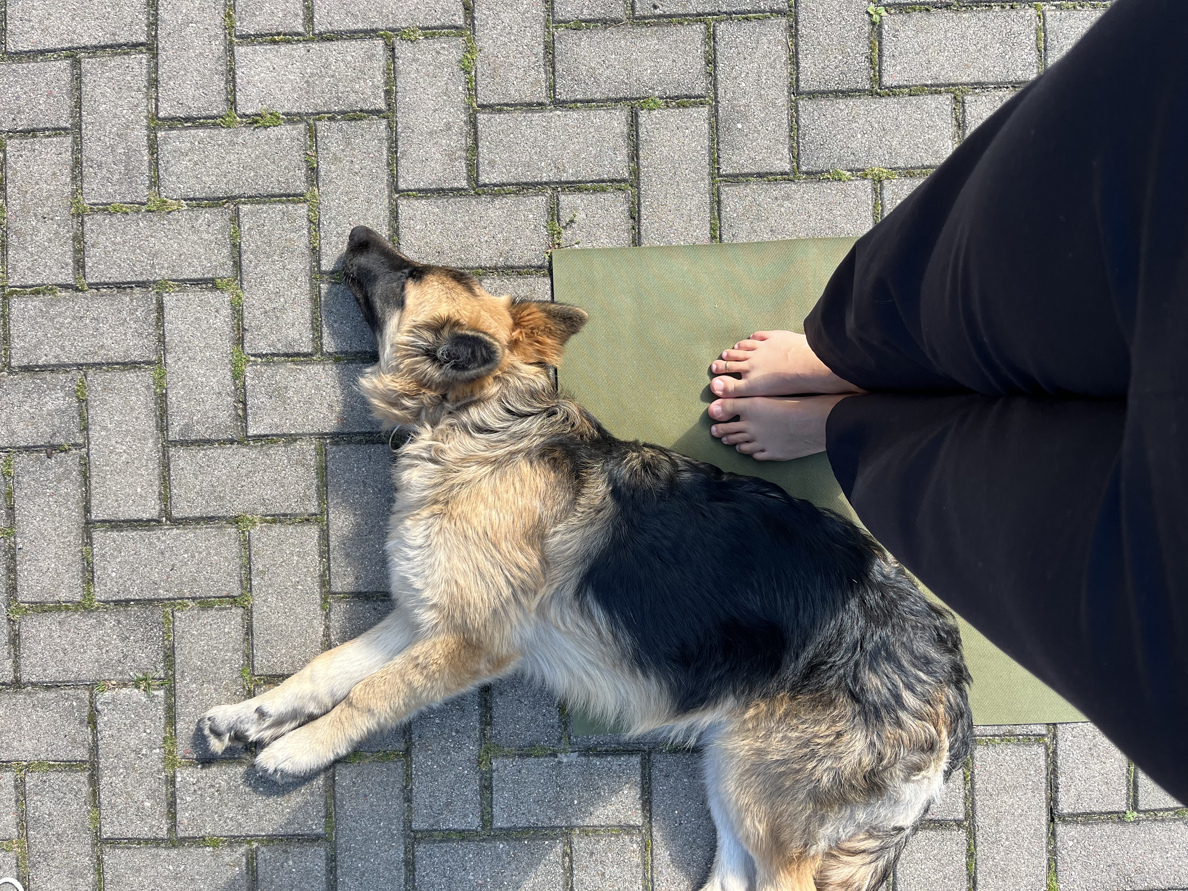 image-6