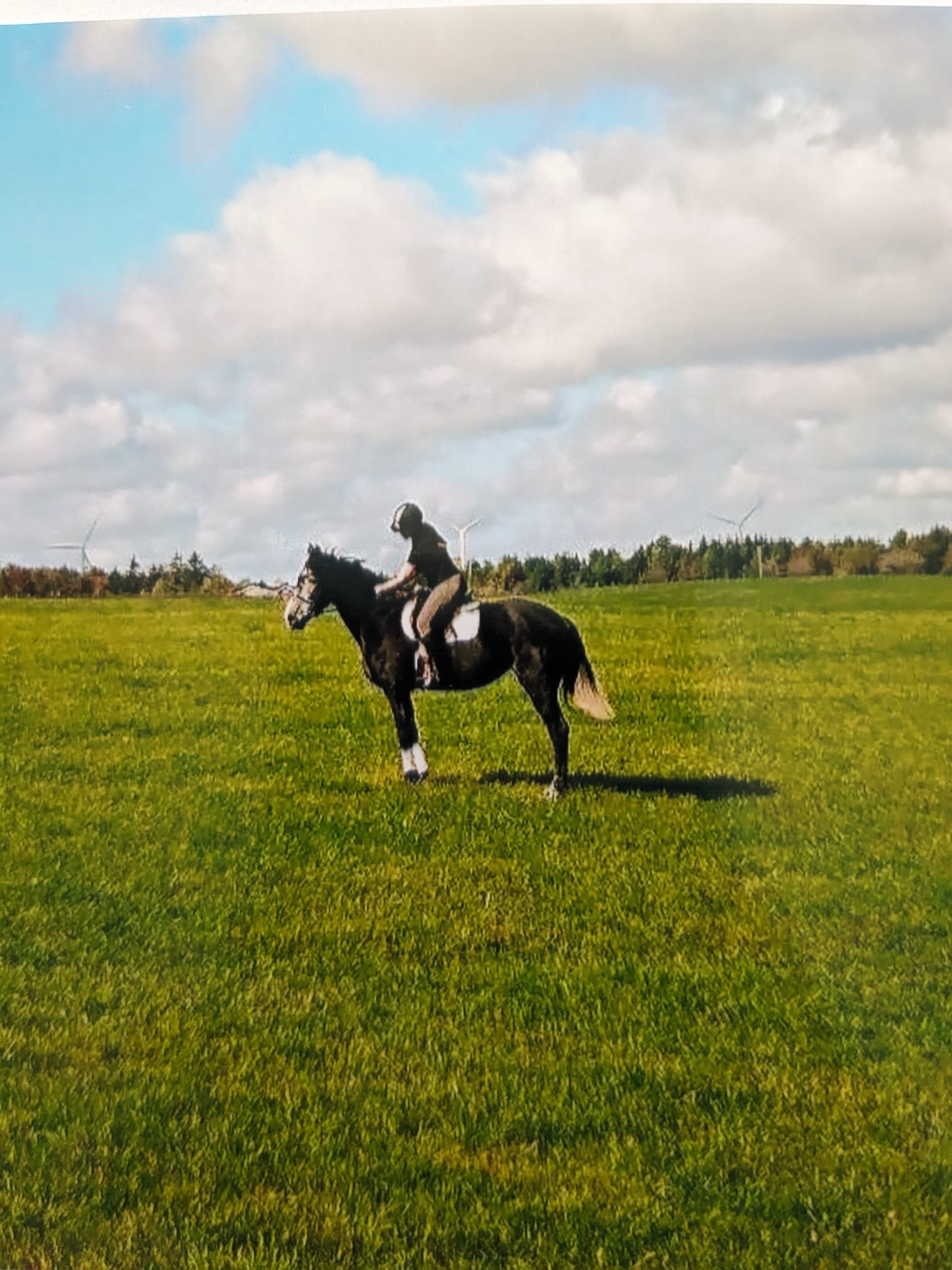 image-6