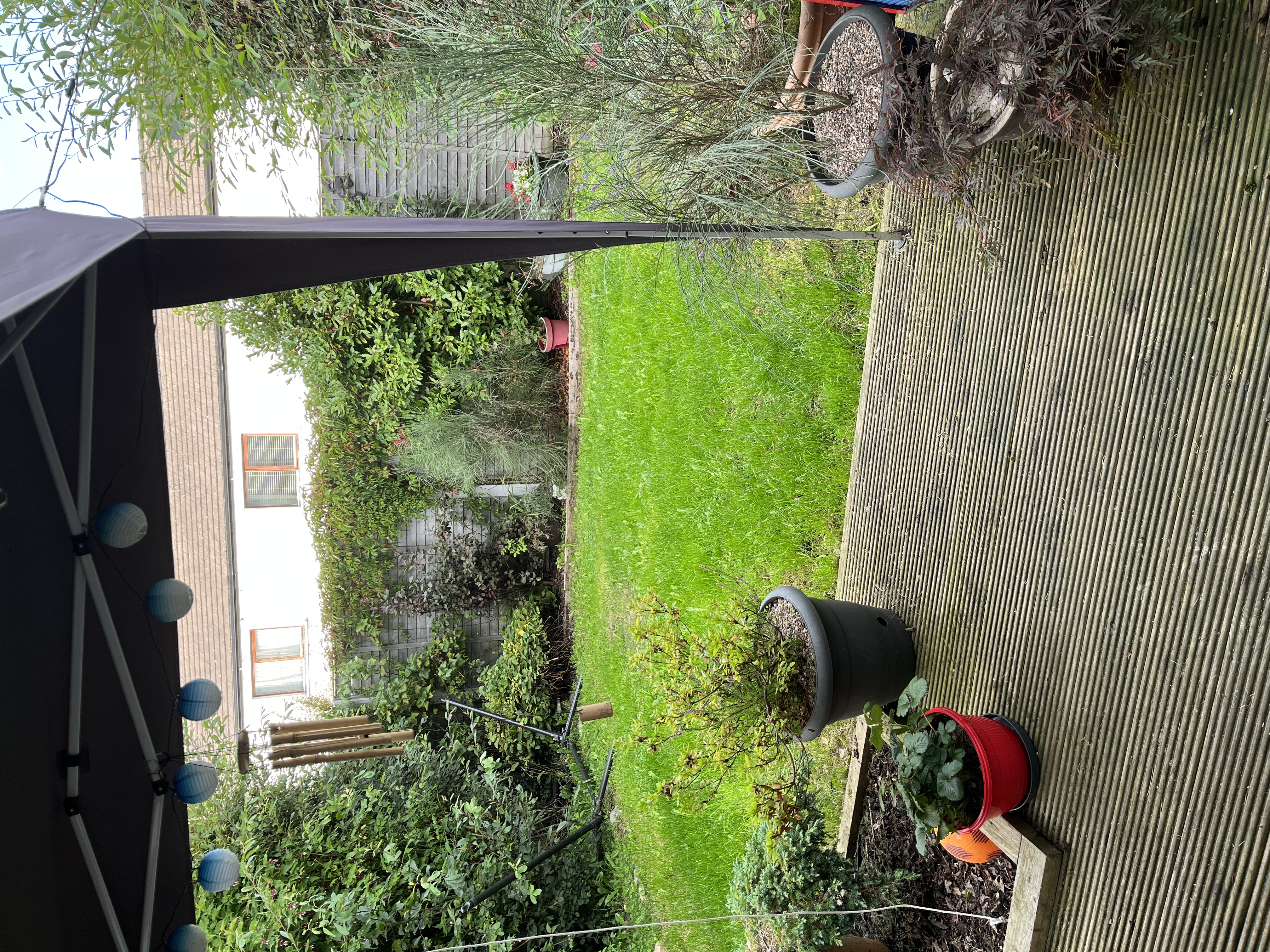 image-14