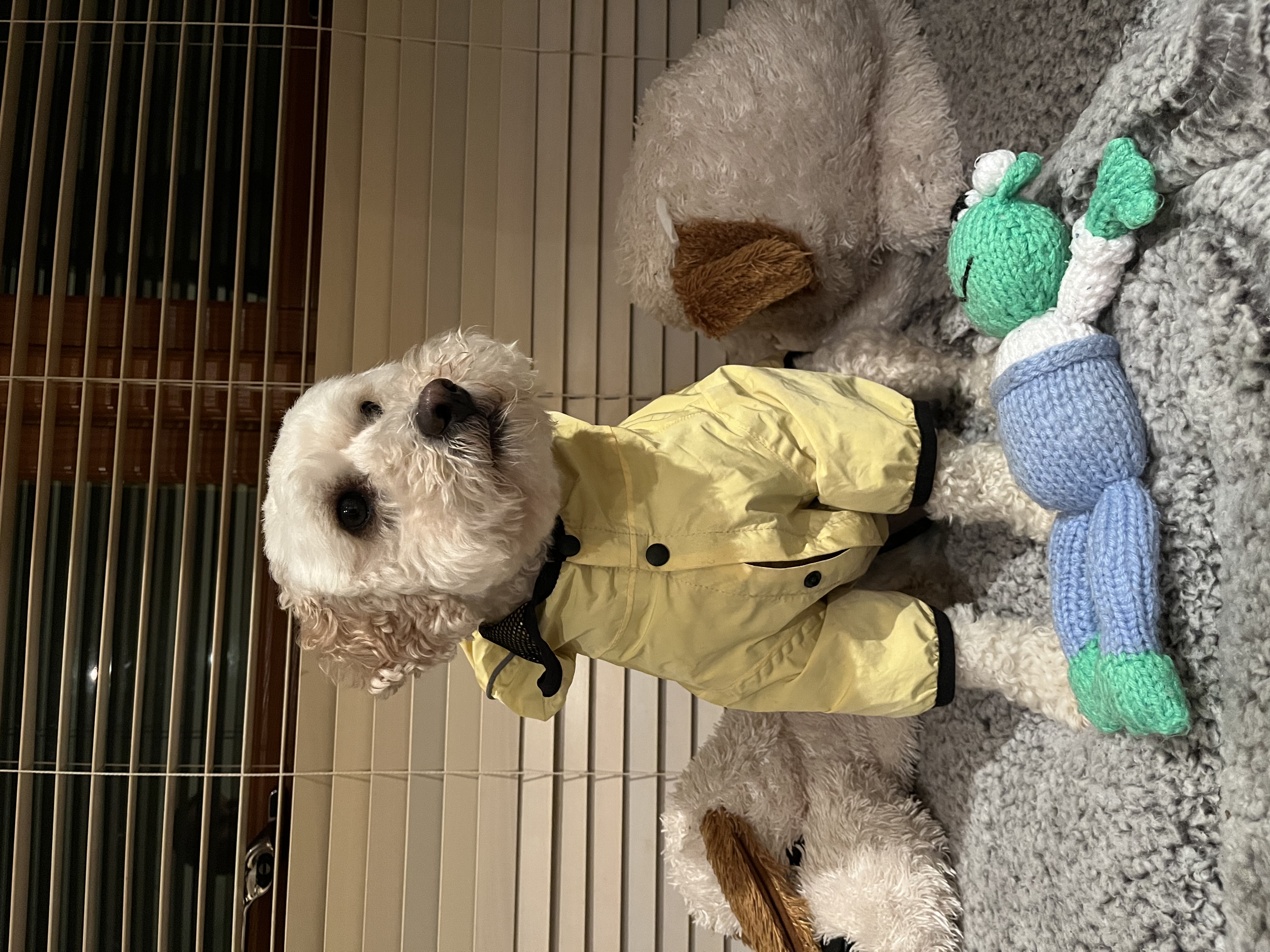image-10