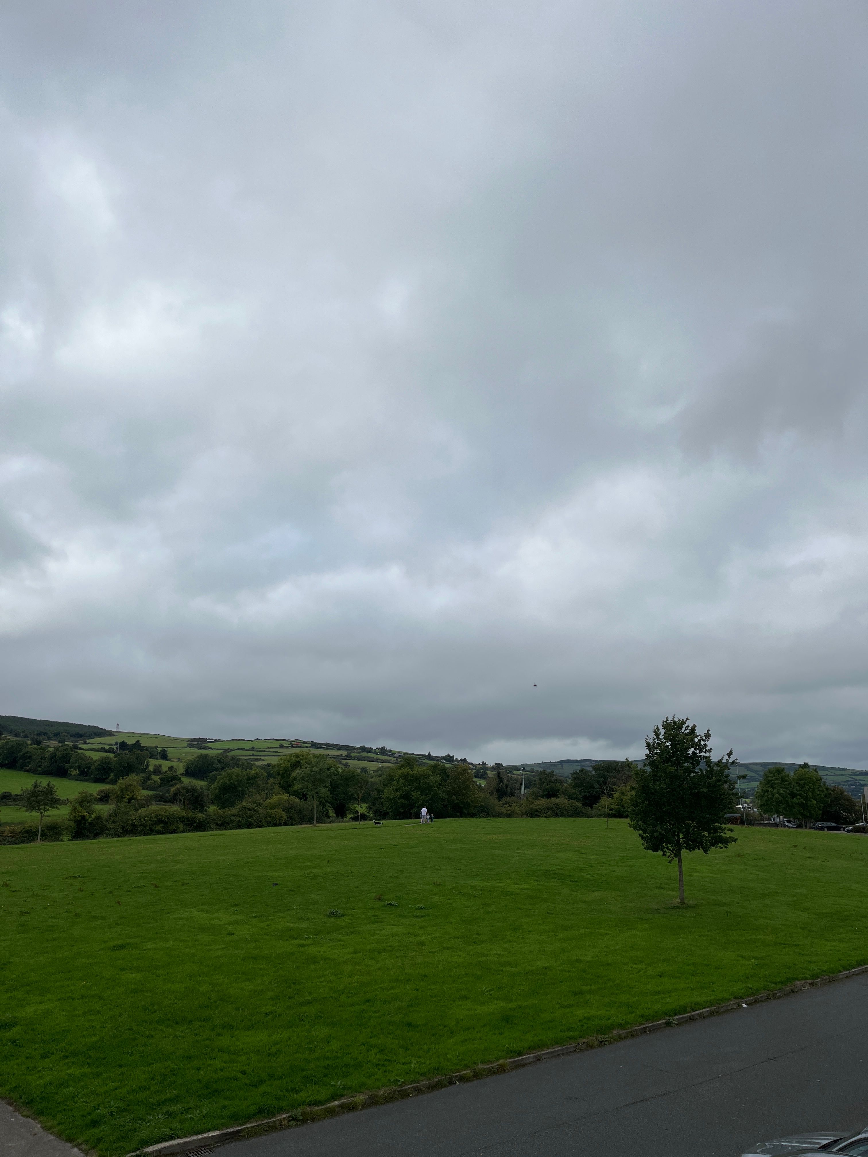 image-20