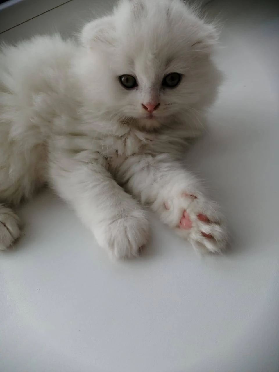 image-8
