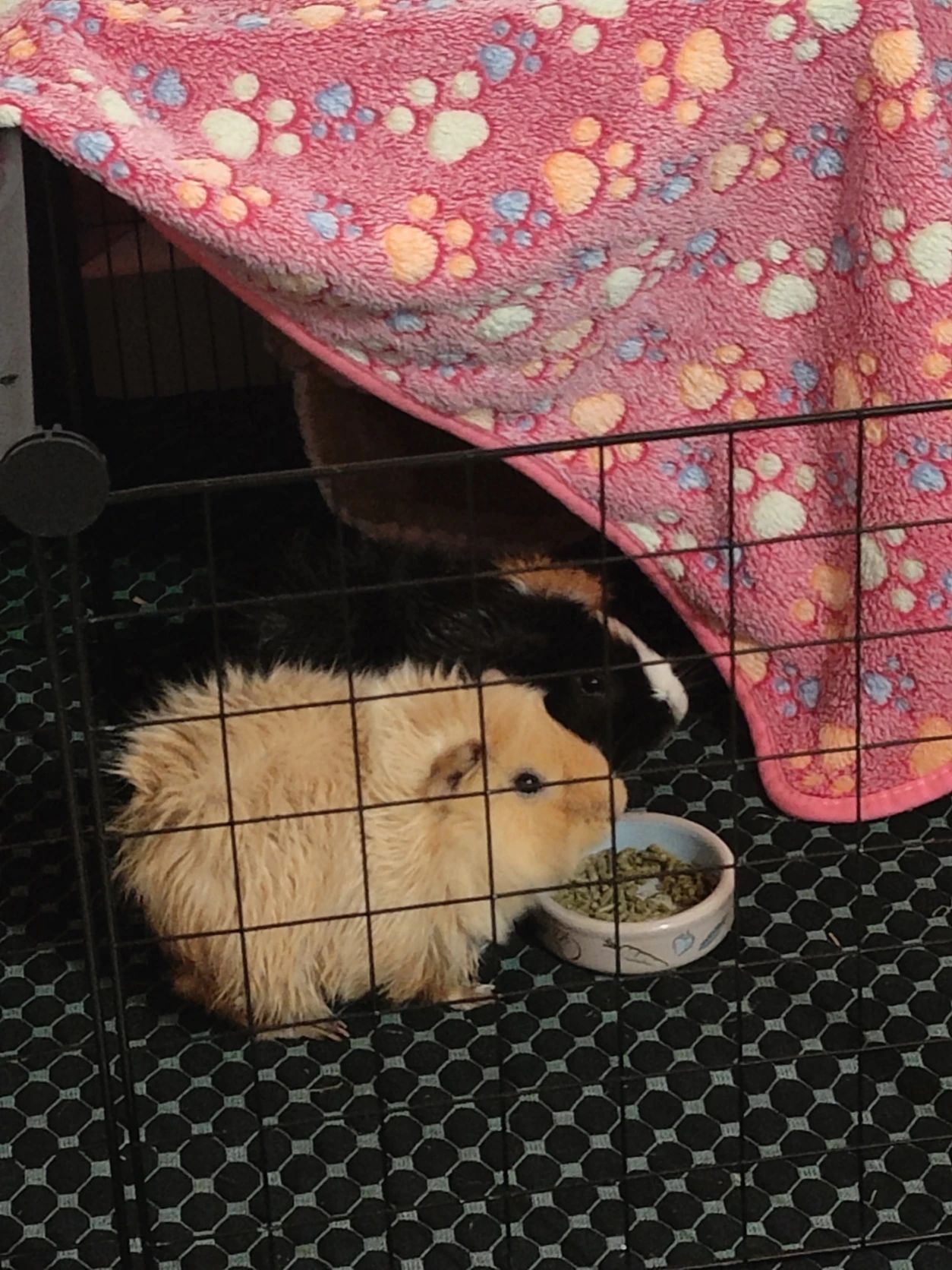 image-7