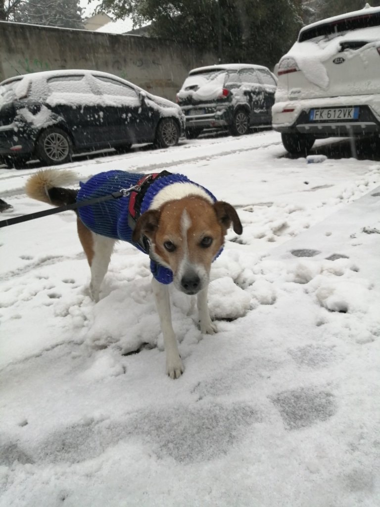 image-7