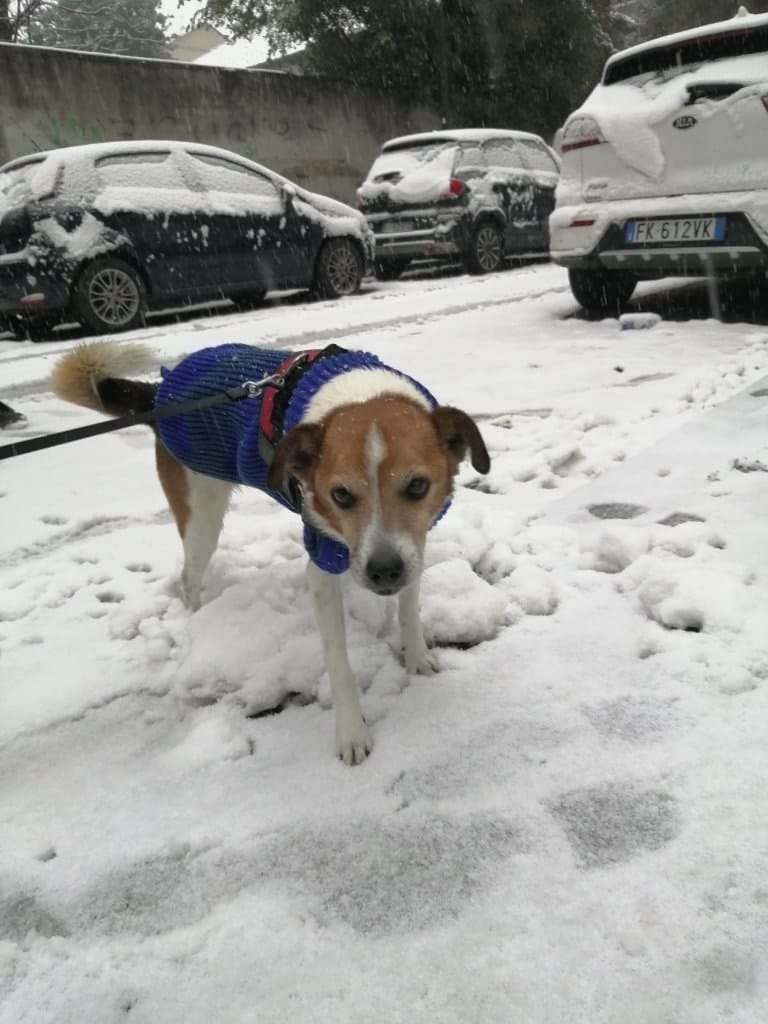 image-7