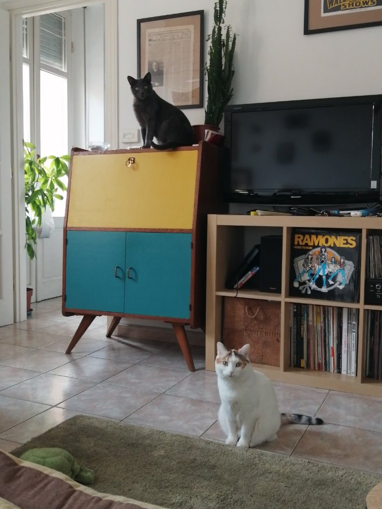 image-4