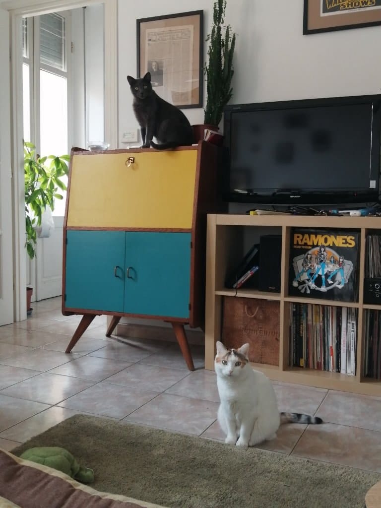 image-4