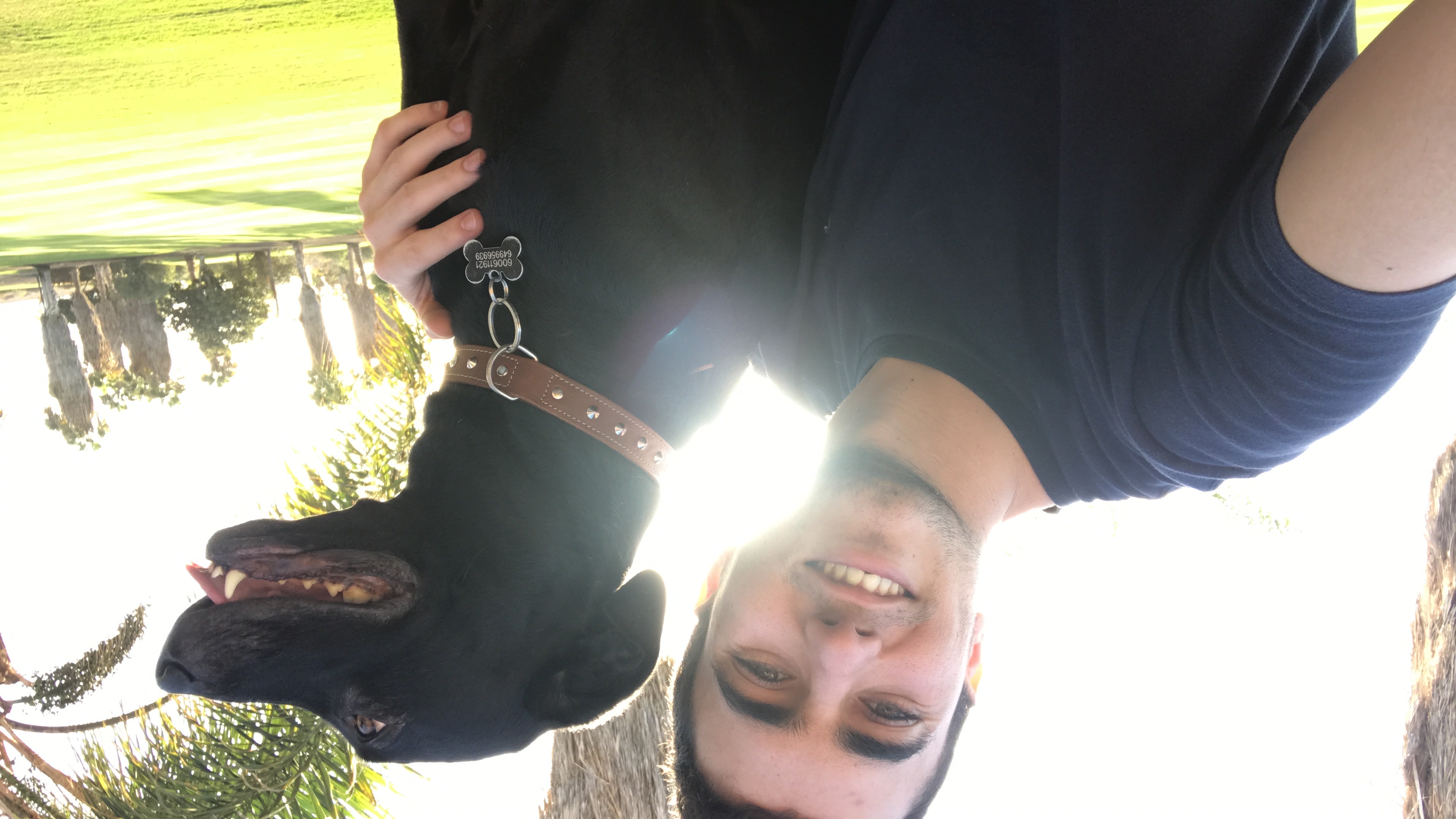 image-2