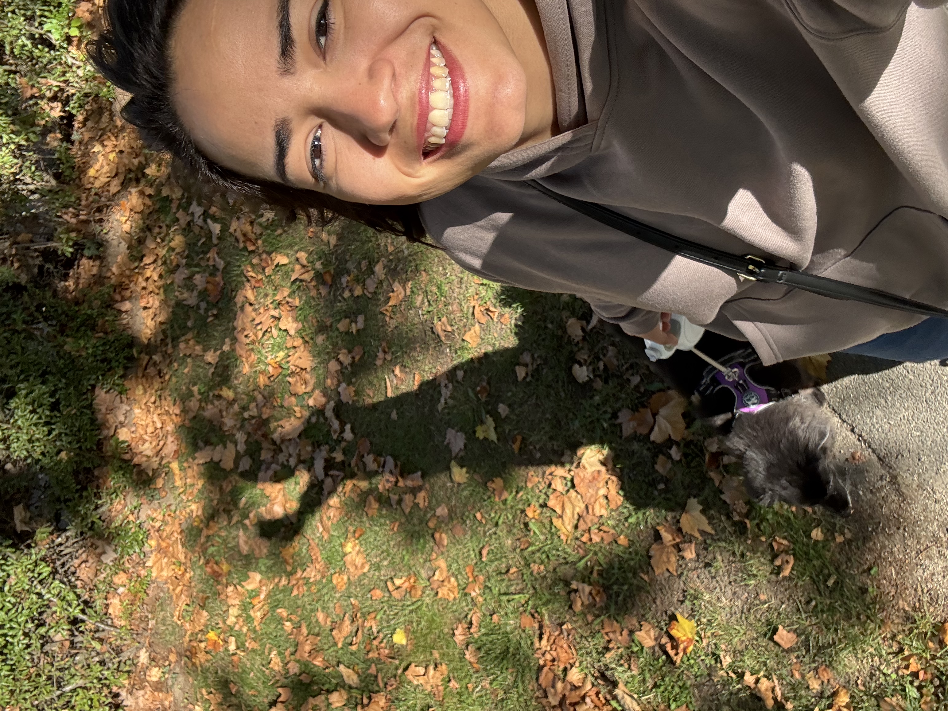 image-4