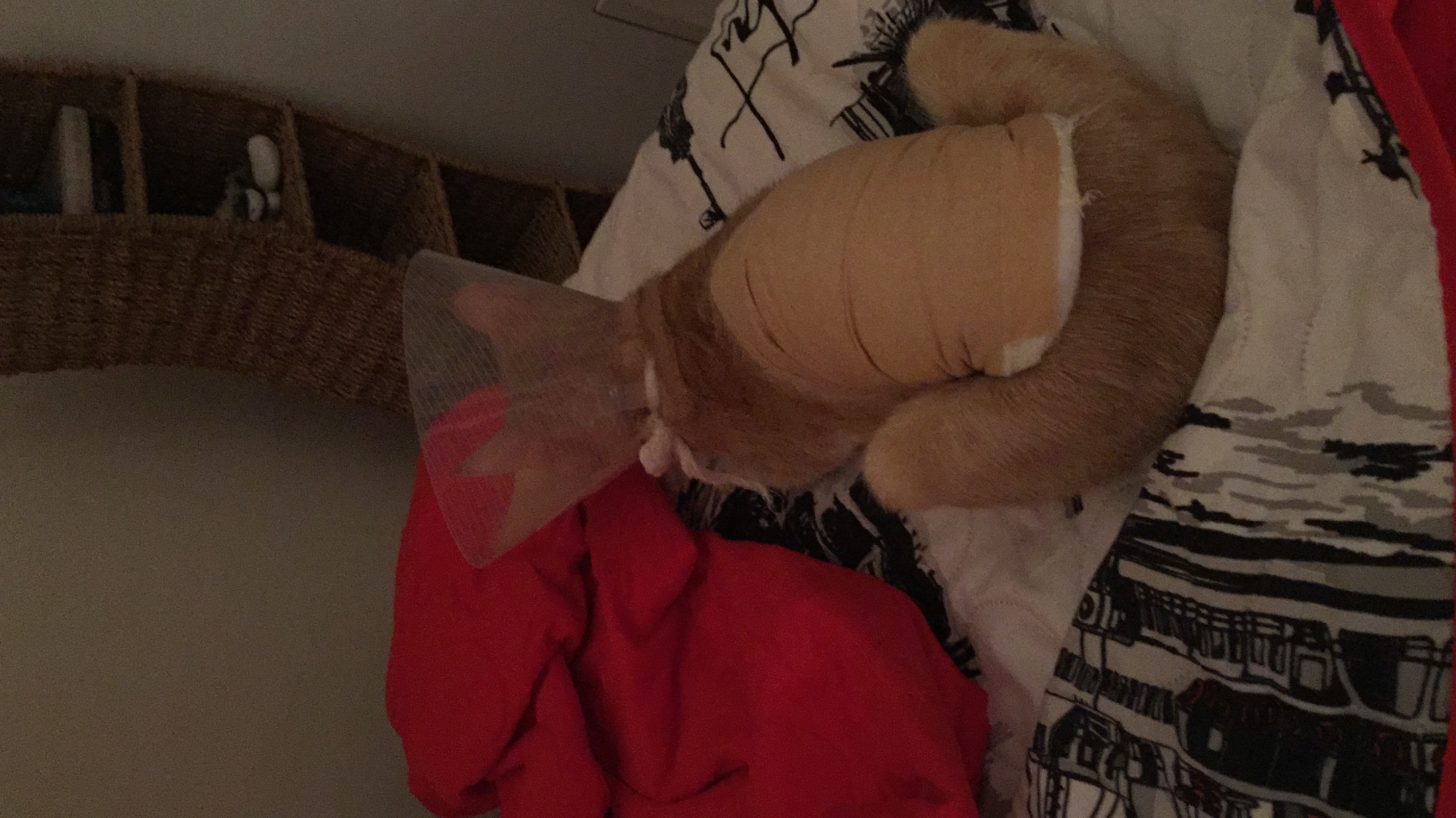 image-9