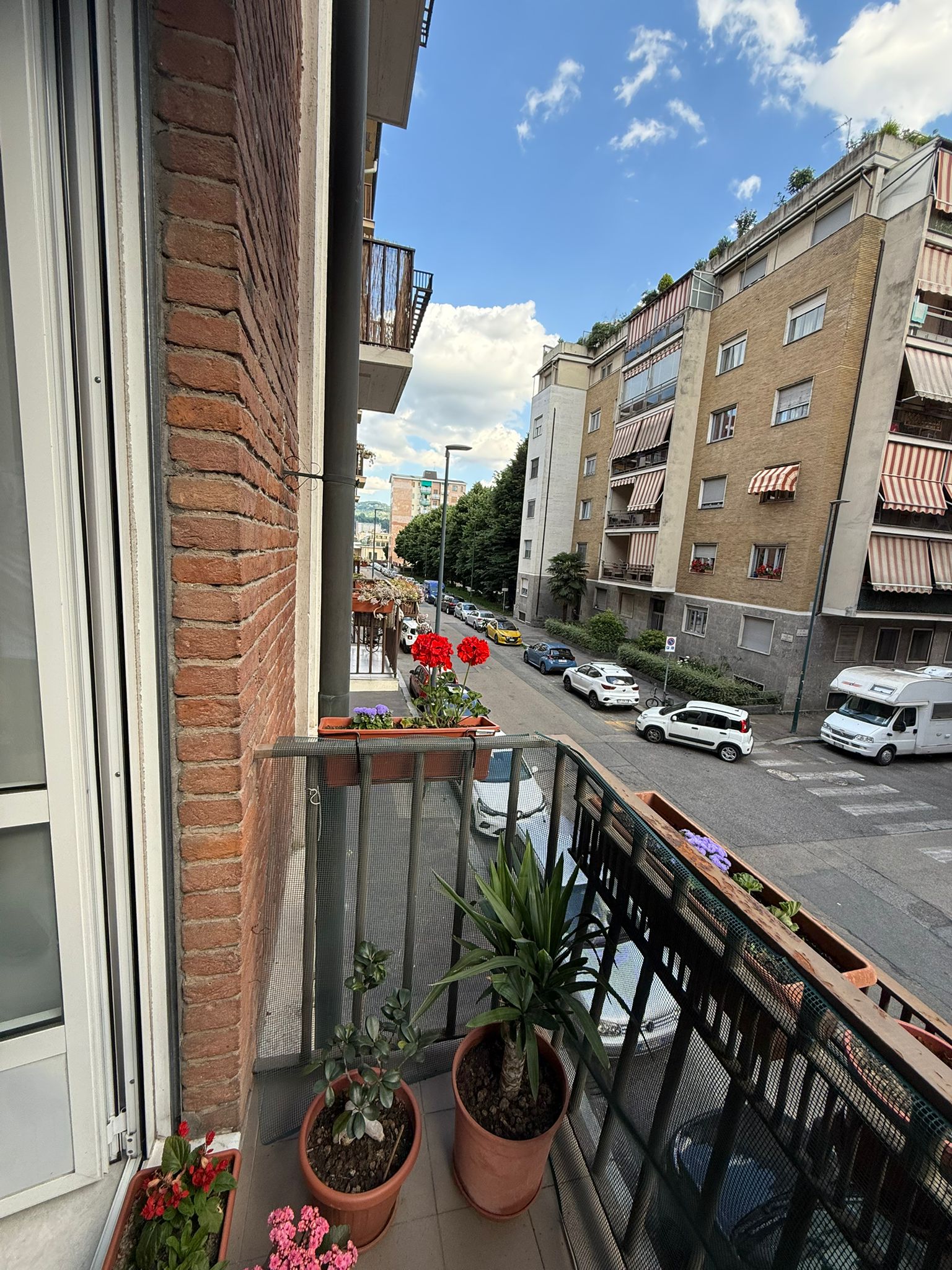 image-20