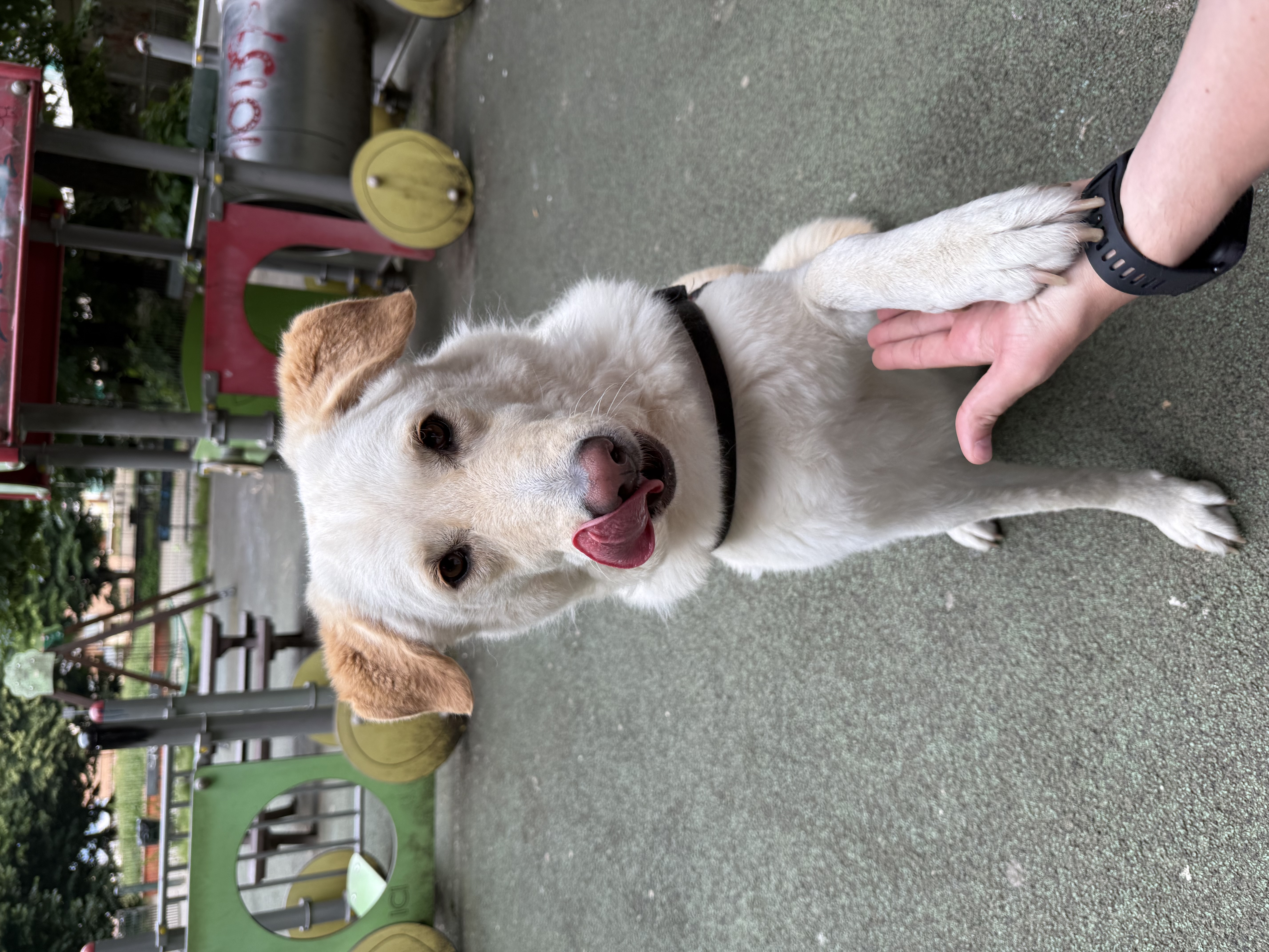 image-11