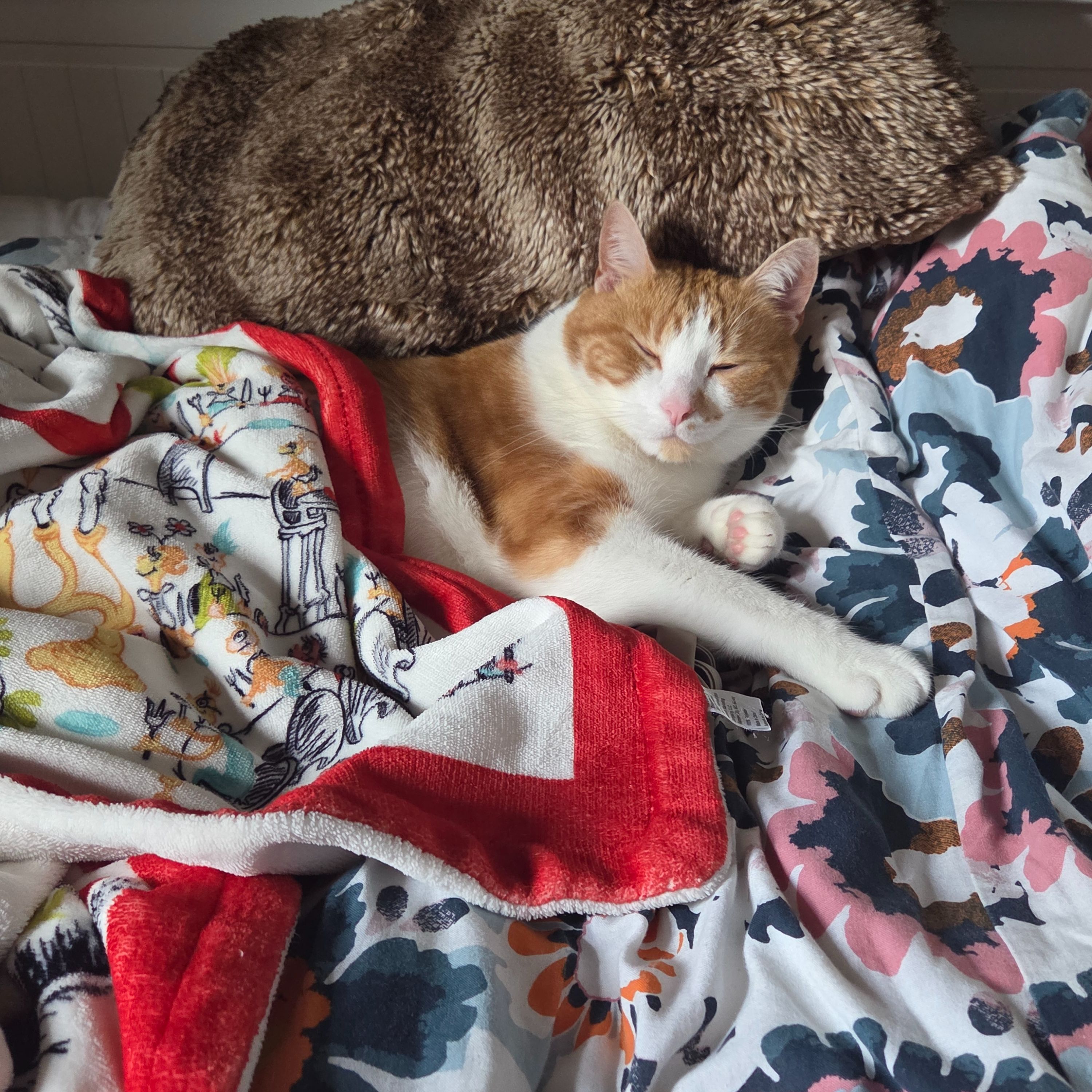 Benny 