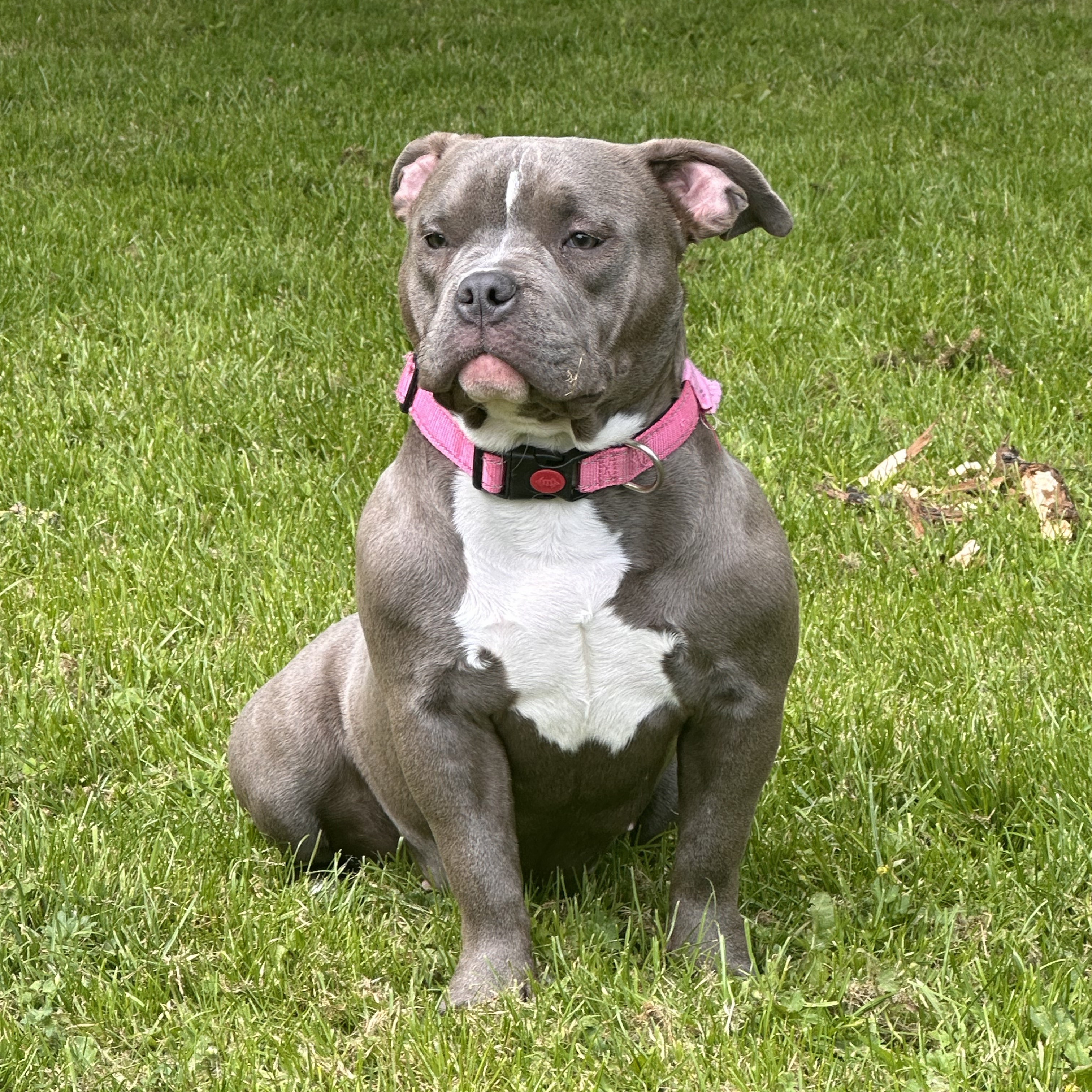 Kyra