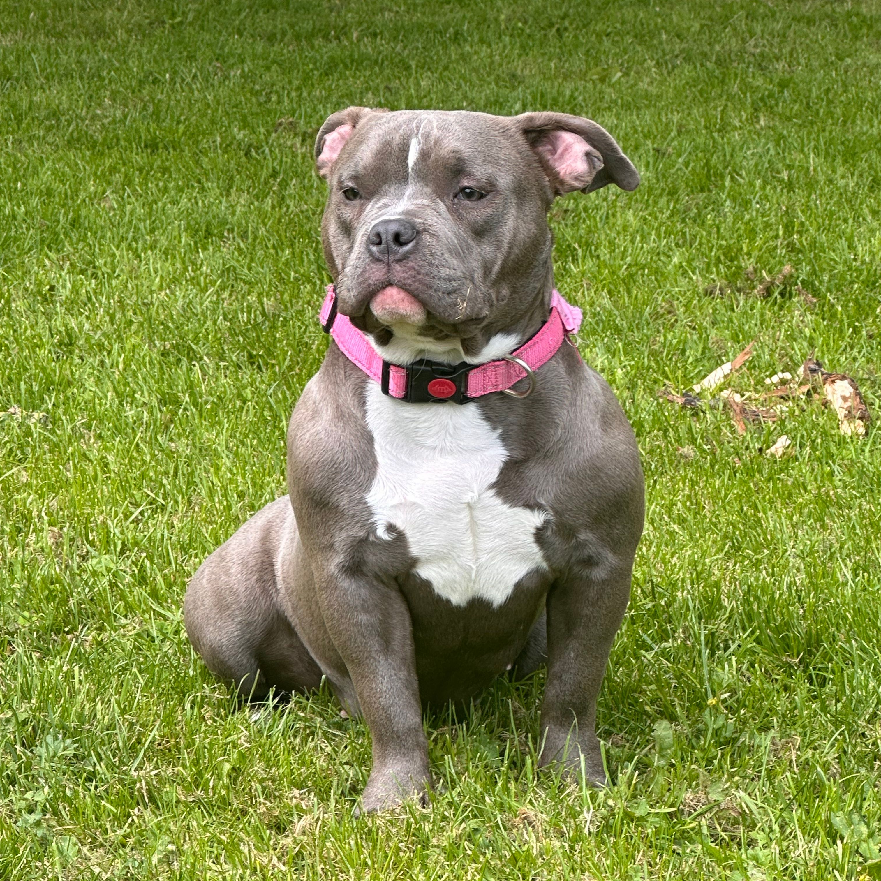 Kyra