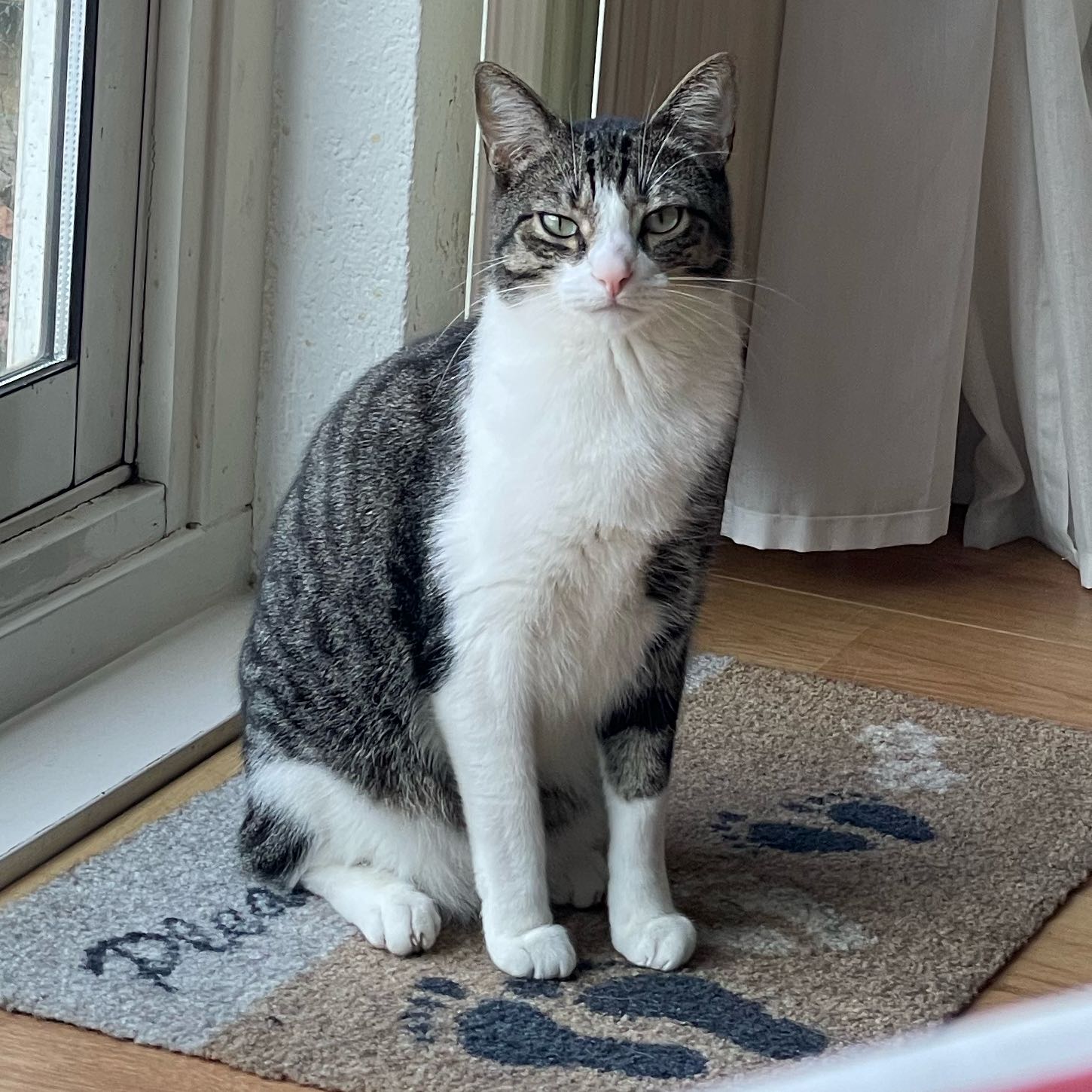 Tommie