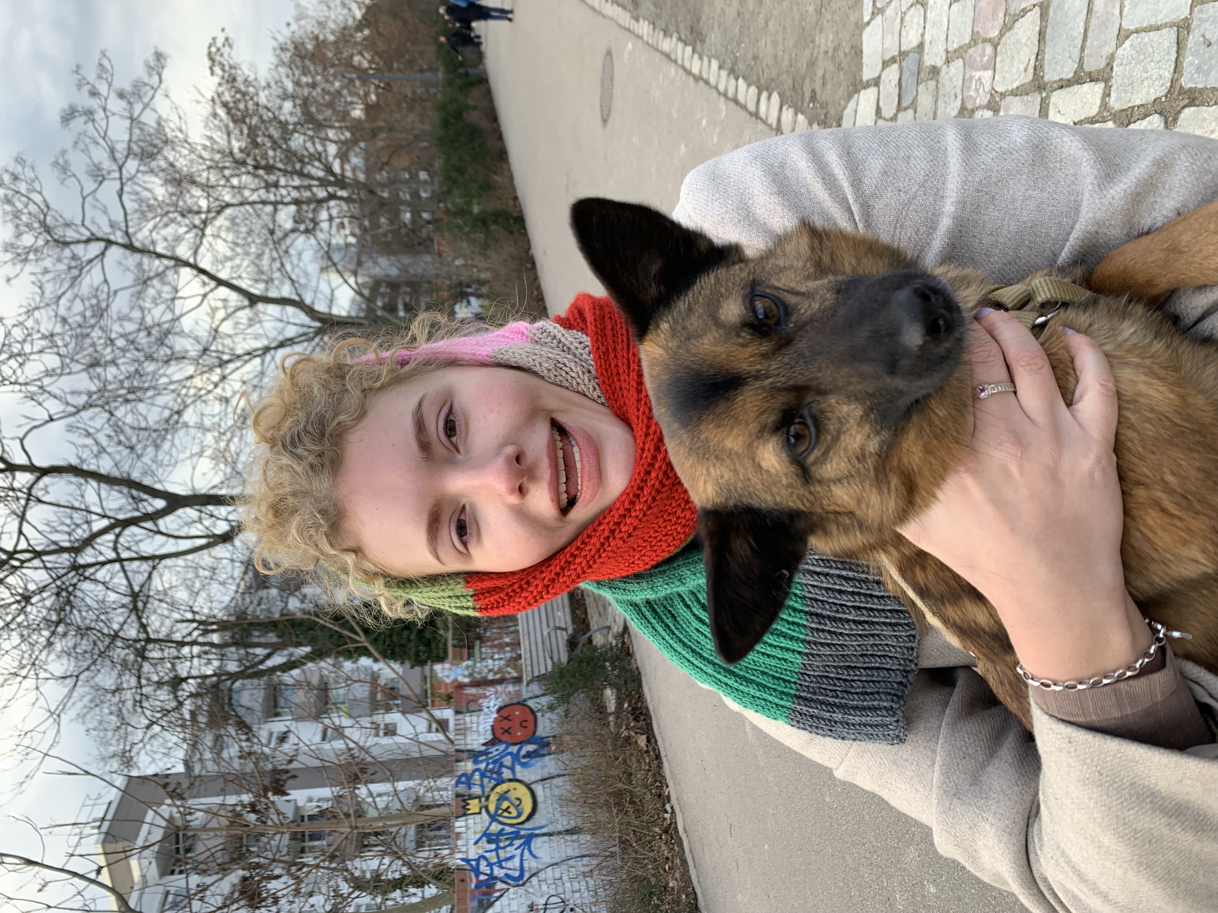 image-6