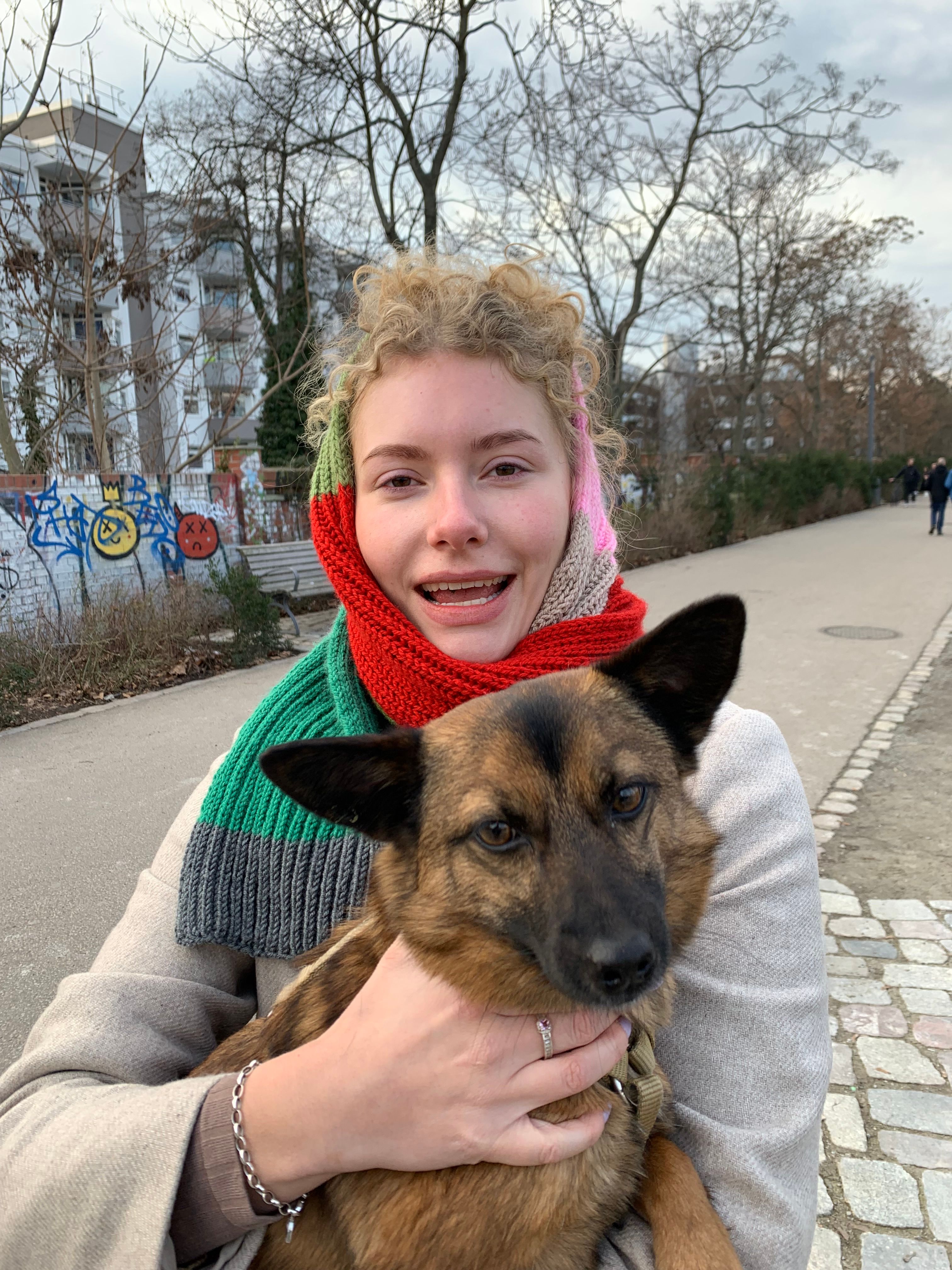 image-6