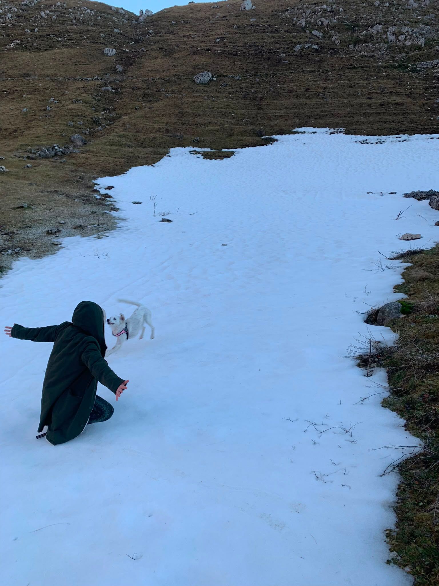 image-7