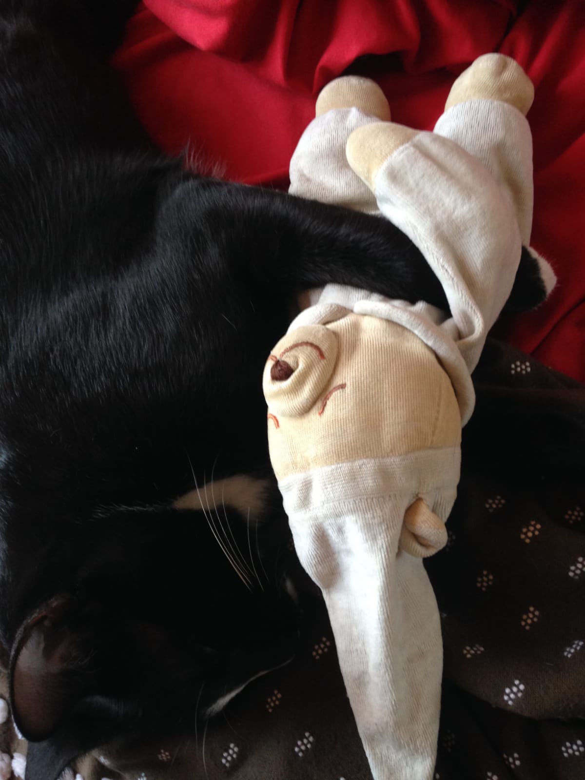 image-6