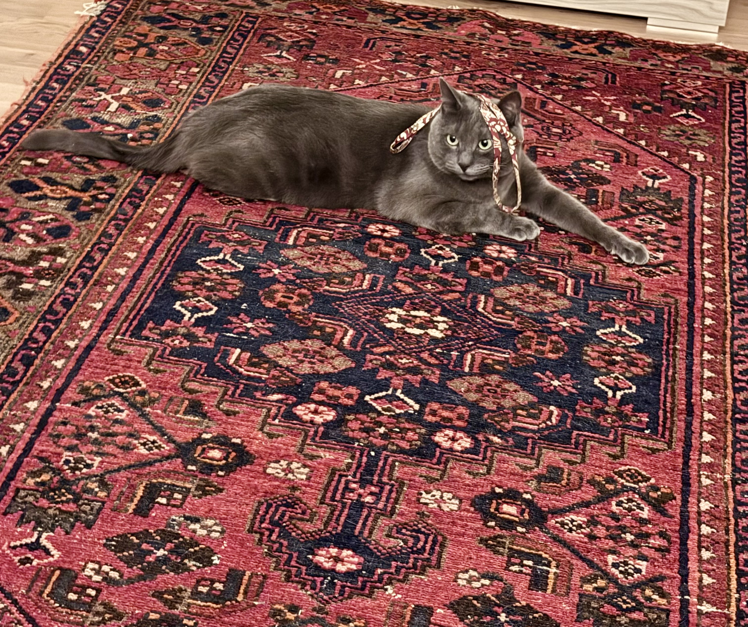image-15