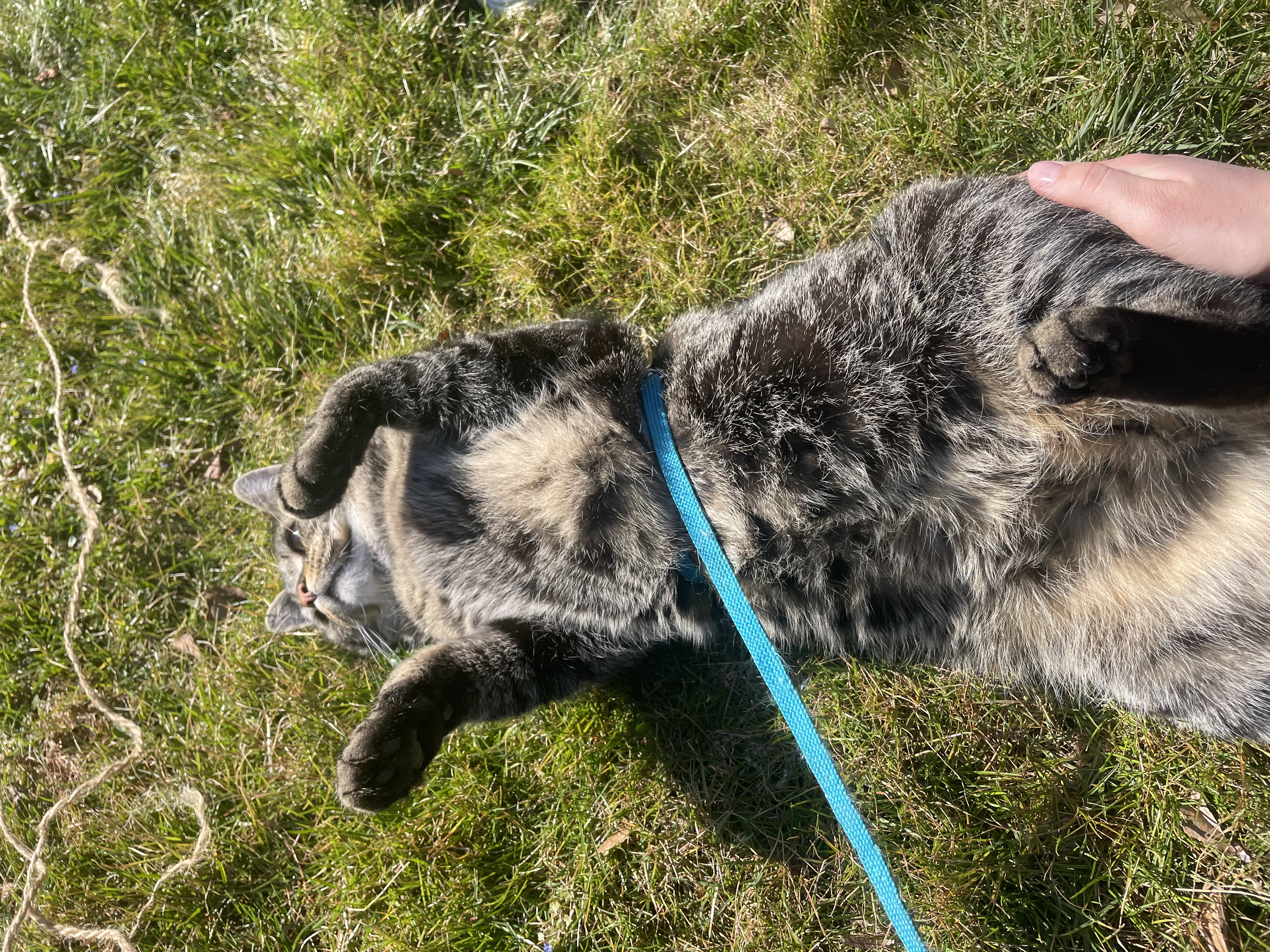 image-6