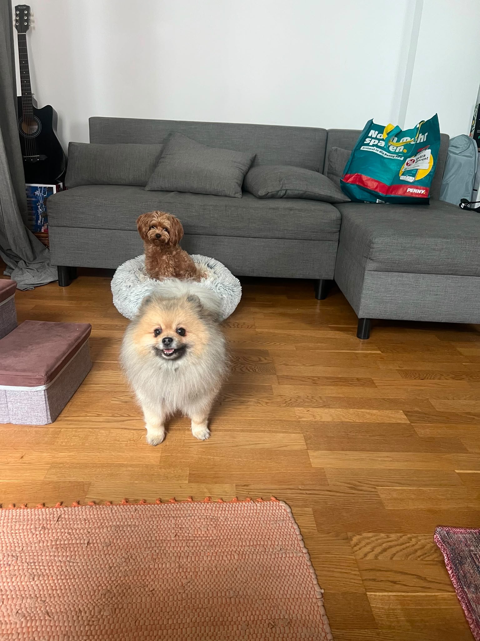 image-17
