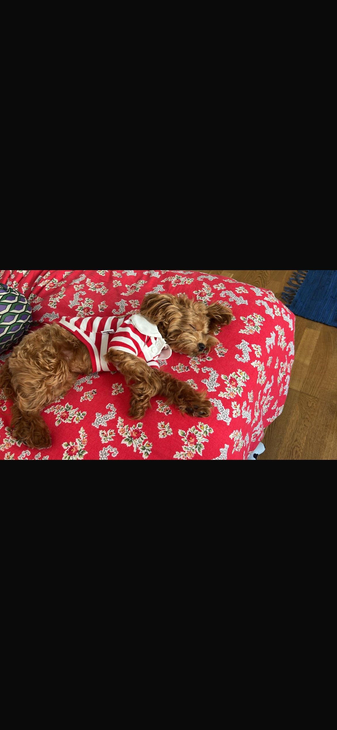 image-11
