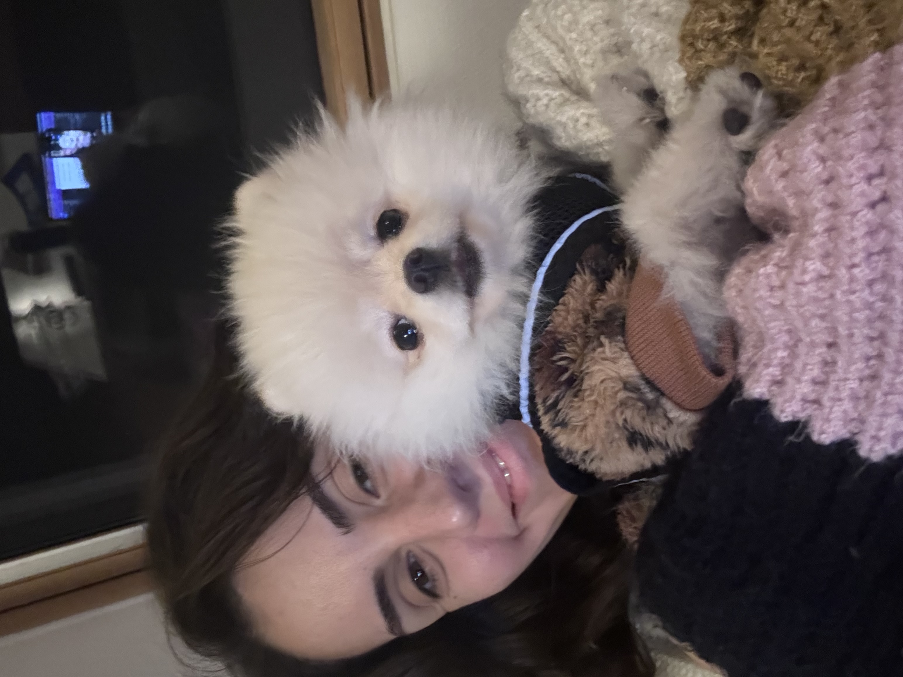 image-6