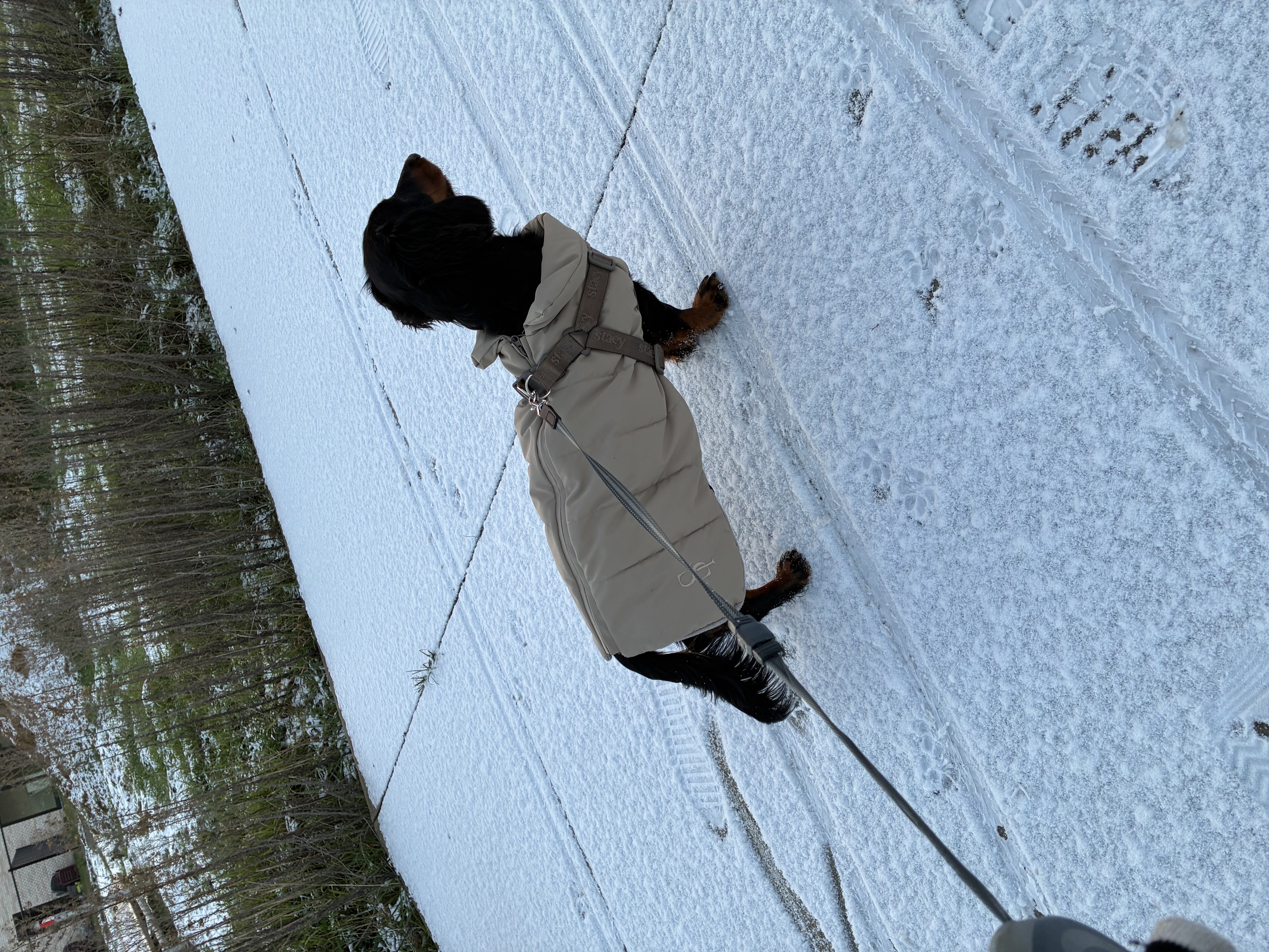 image-3