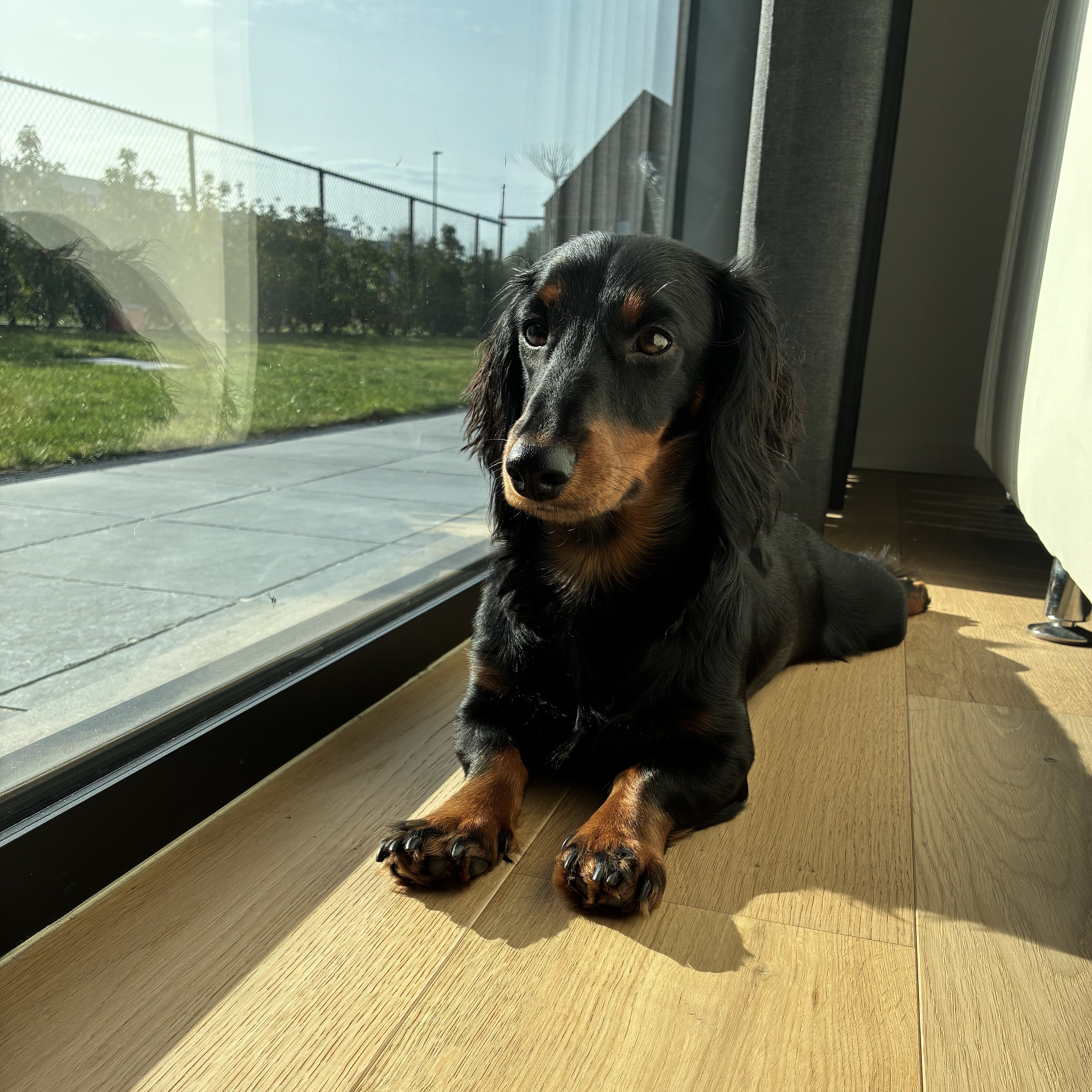 Winnie